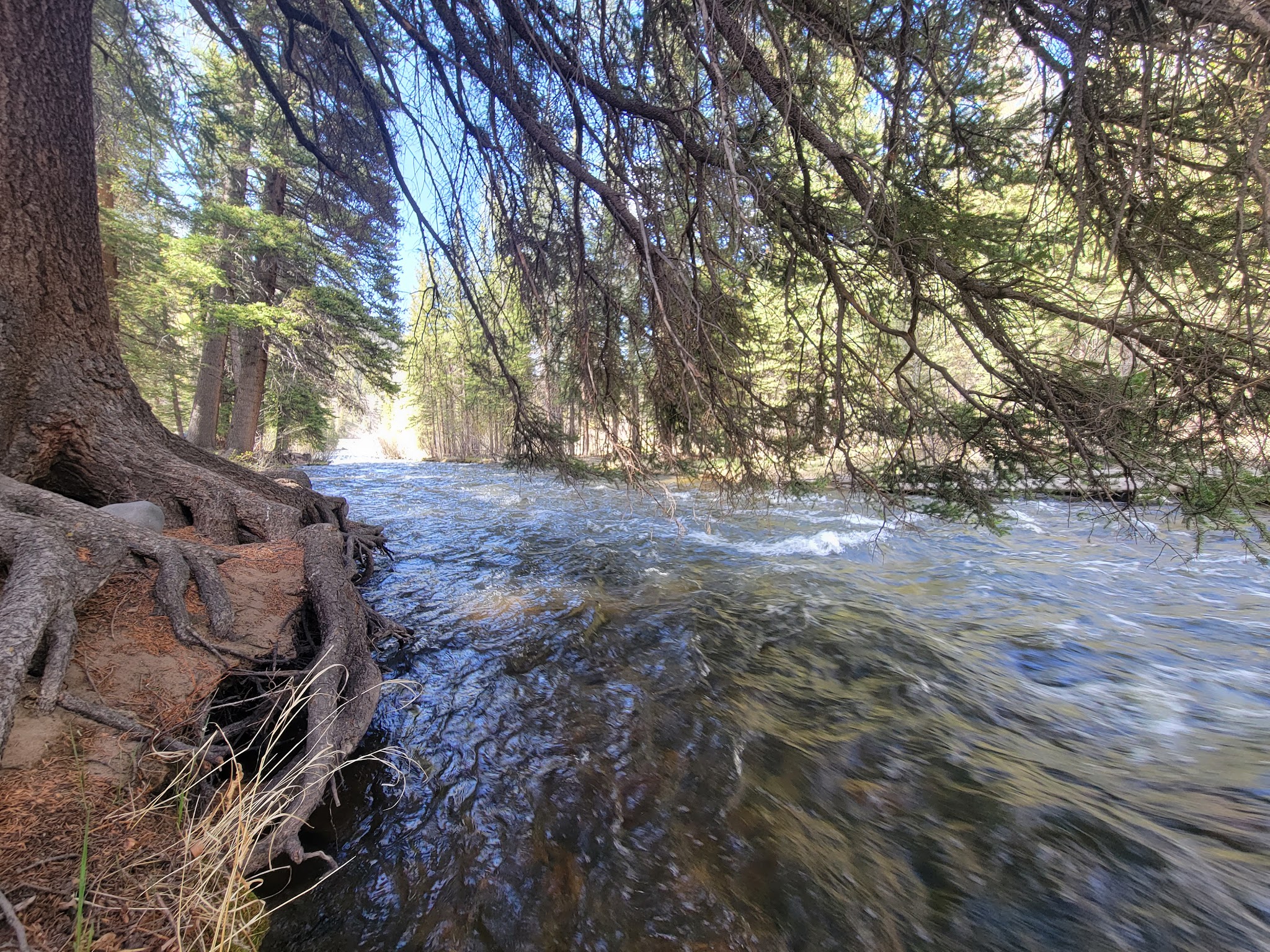 Park Creek Campground