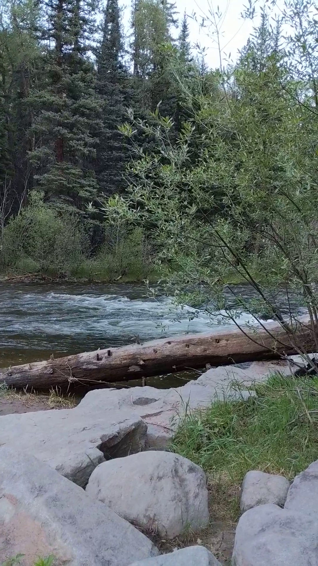 Park Creek Campground