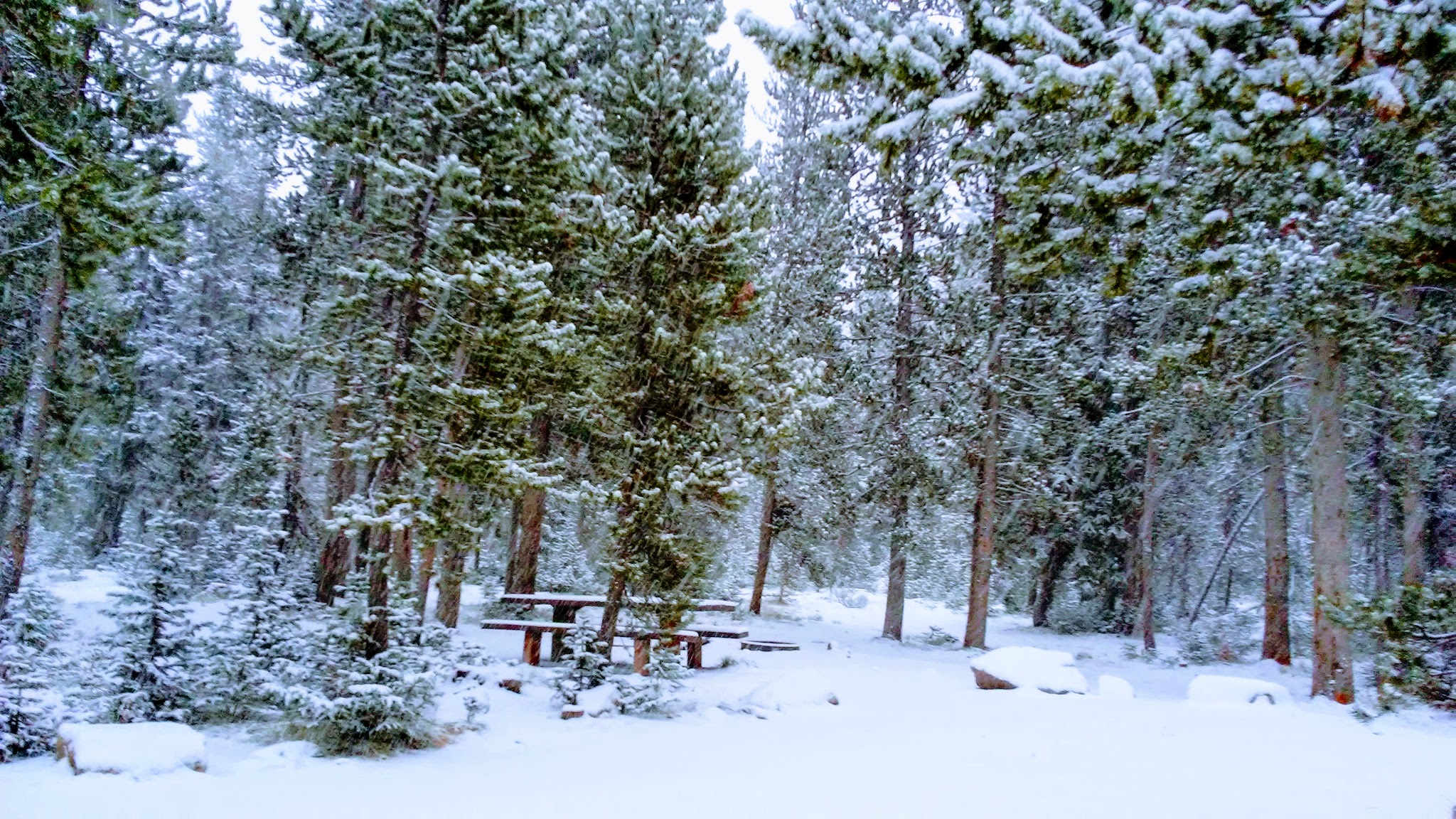 Park Creek Campground