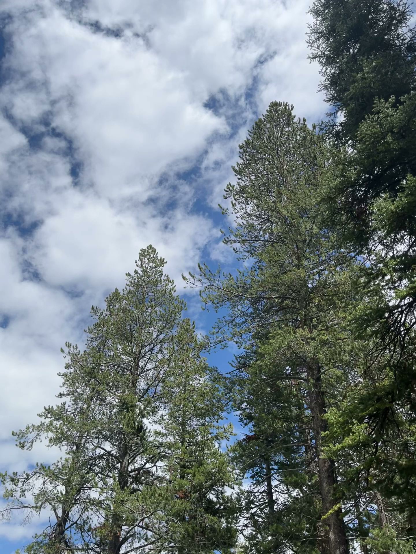 Park Creek Campground