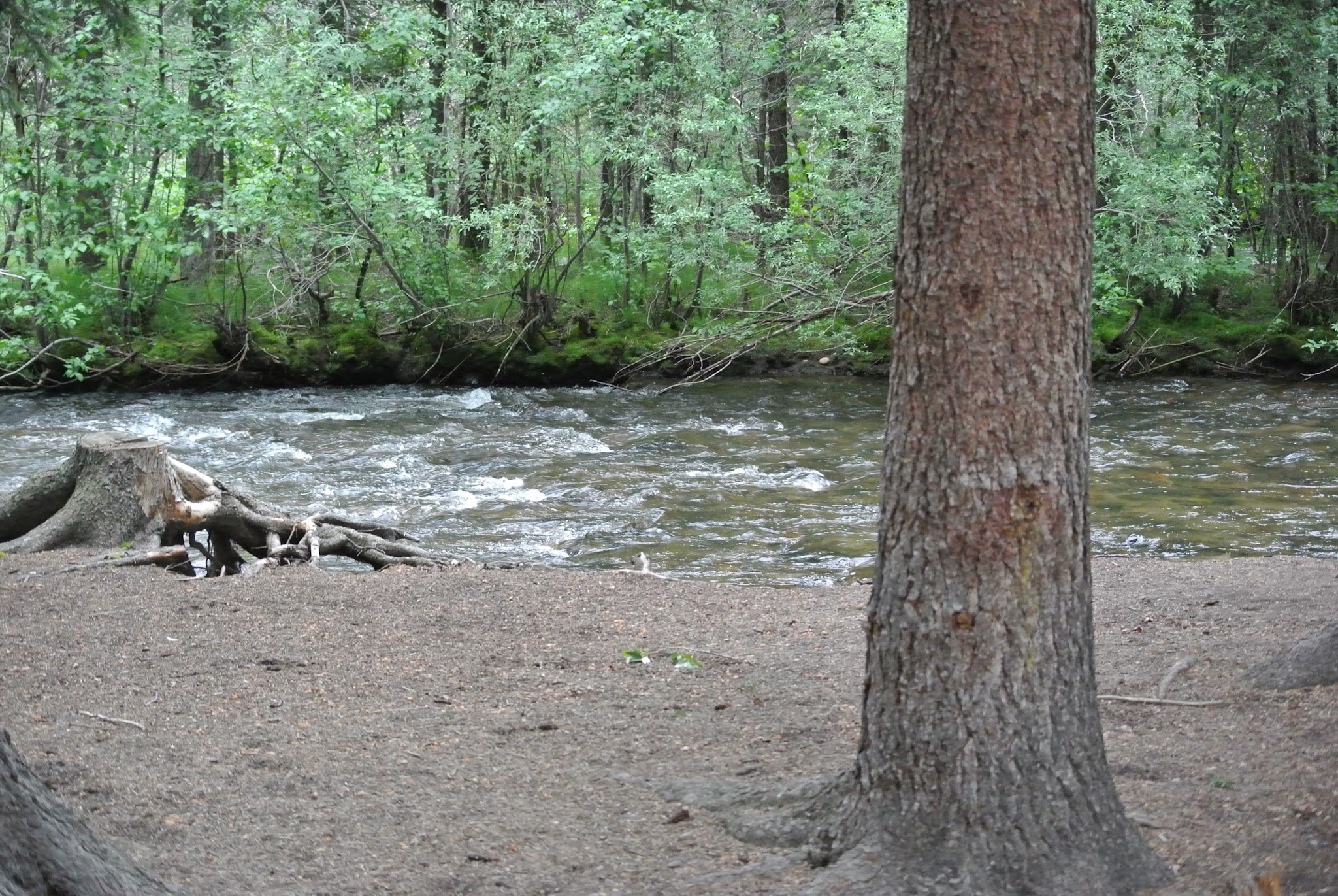 Park Creek Campground