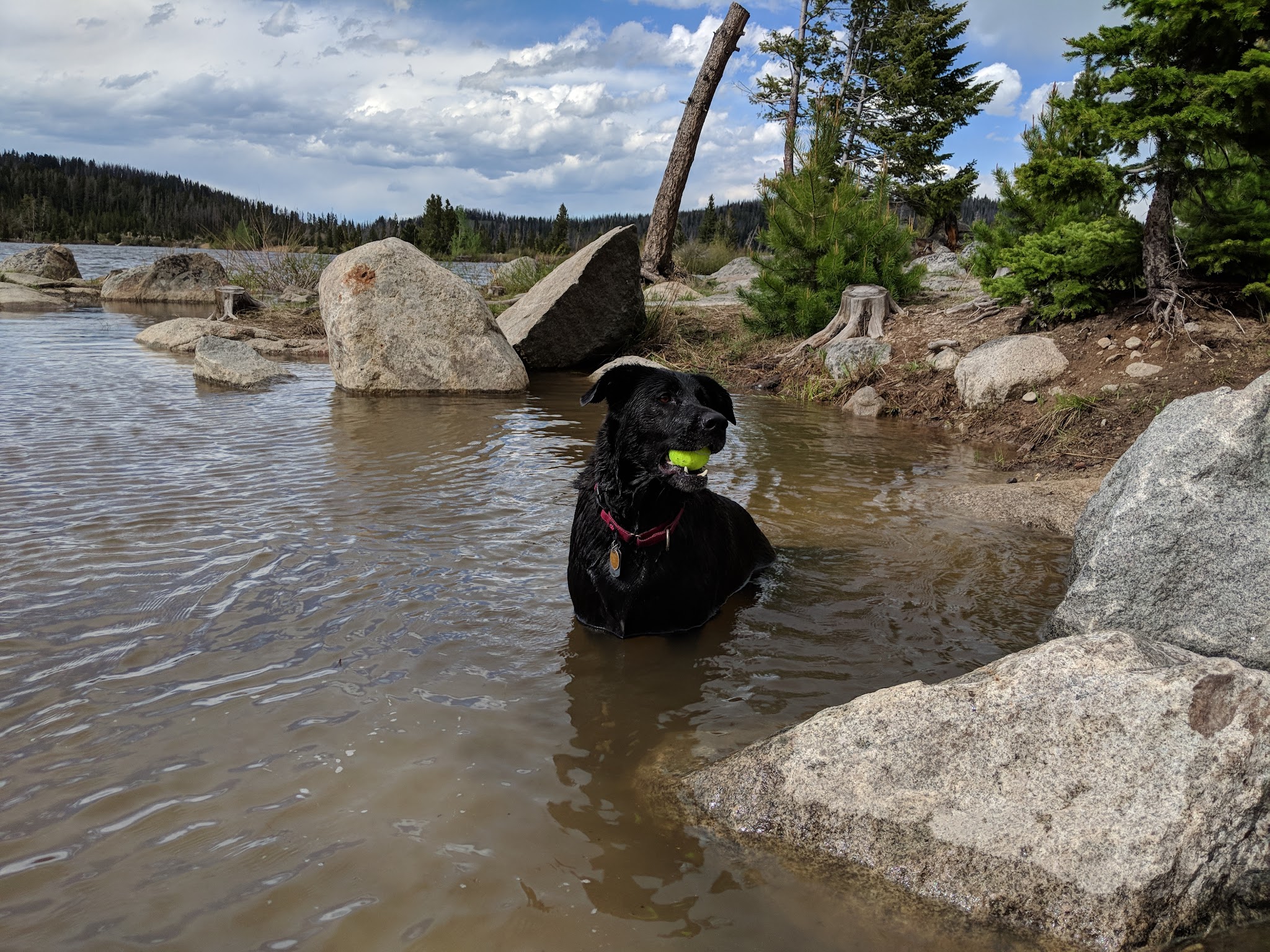Park Lake Campground
