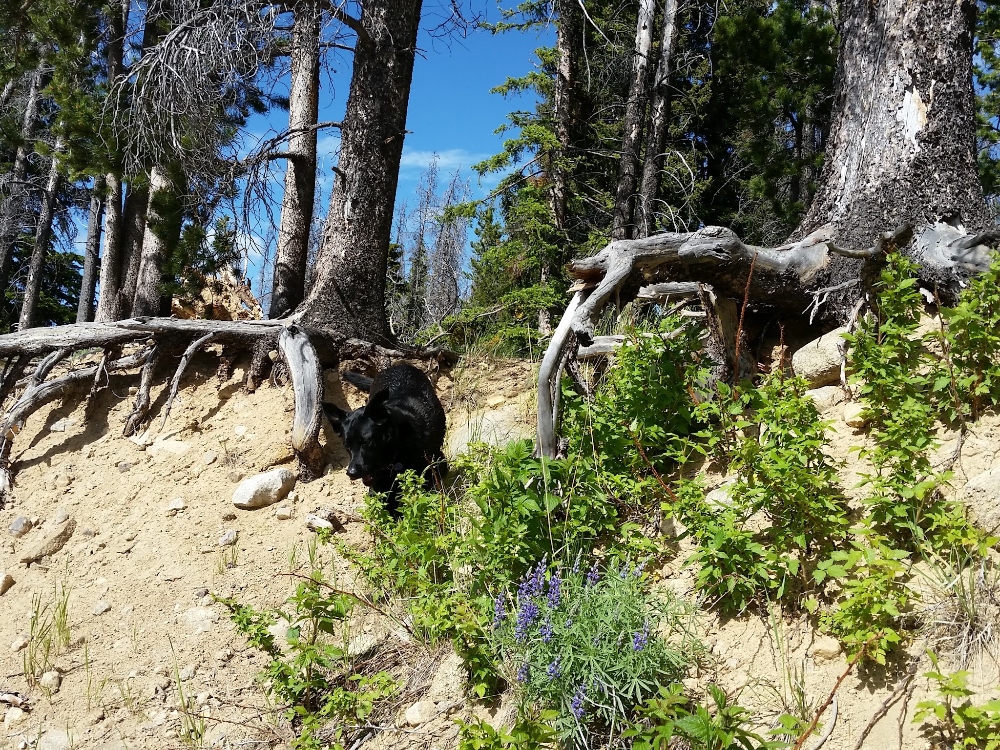Park Lake Campground