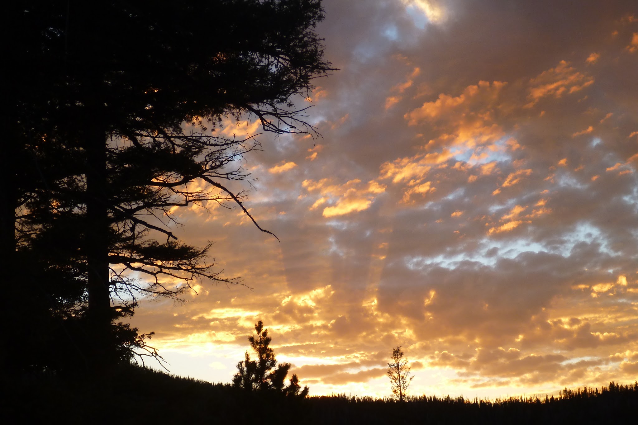 Park Lake Campground
