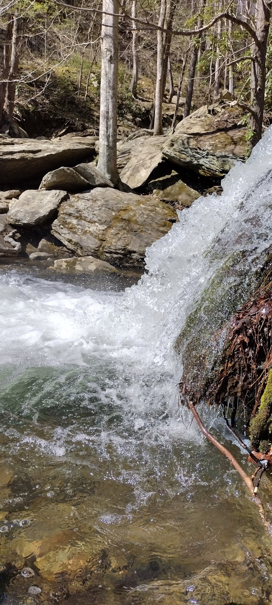 Parksville Lake Rv Campground