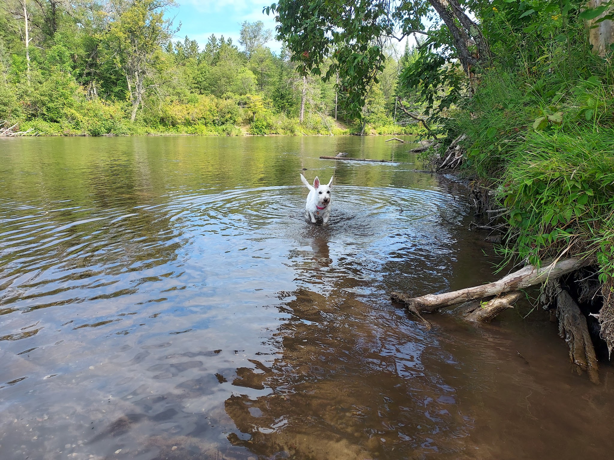 Parmalee Bridge State Forest Campground And Canoe Camp