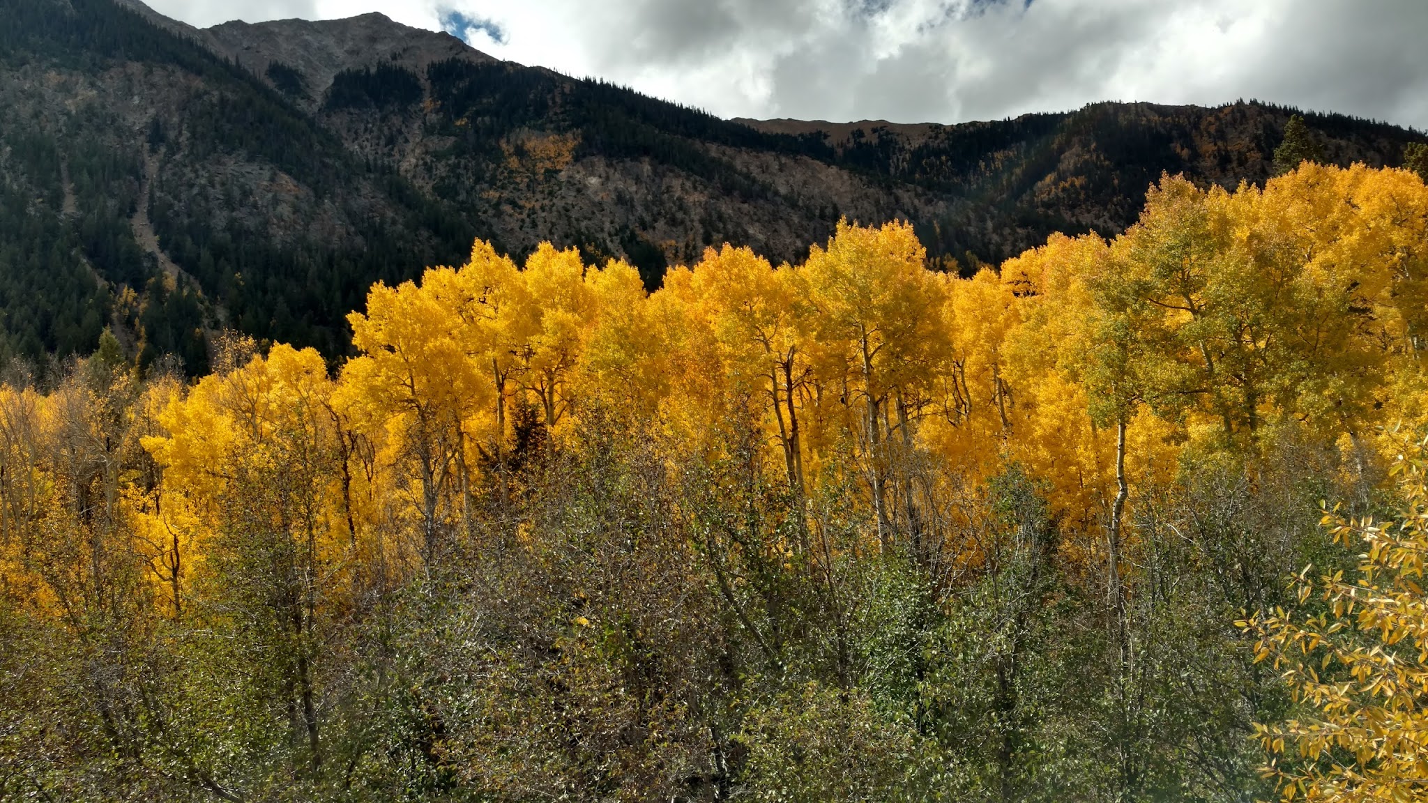 Parry Peak Campground