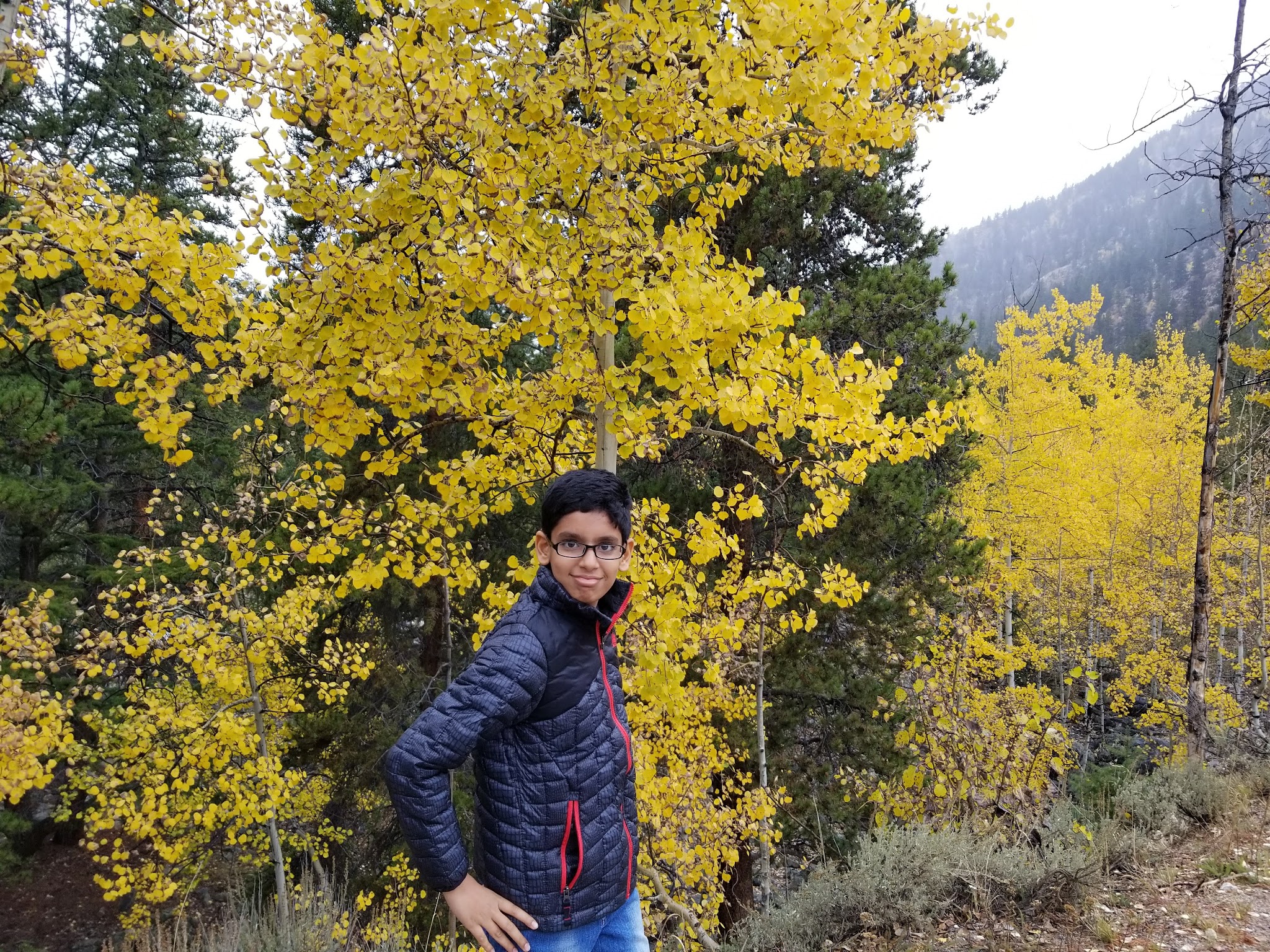 Parry Peak Campground