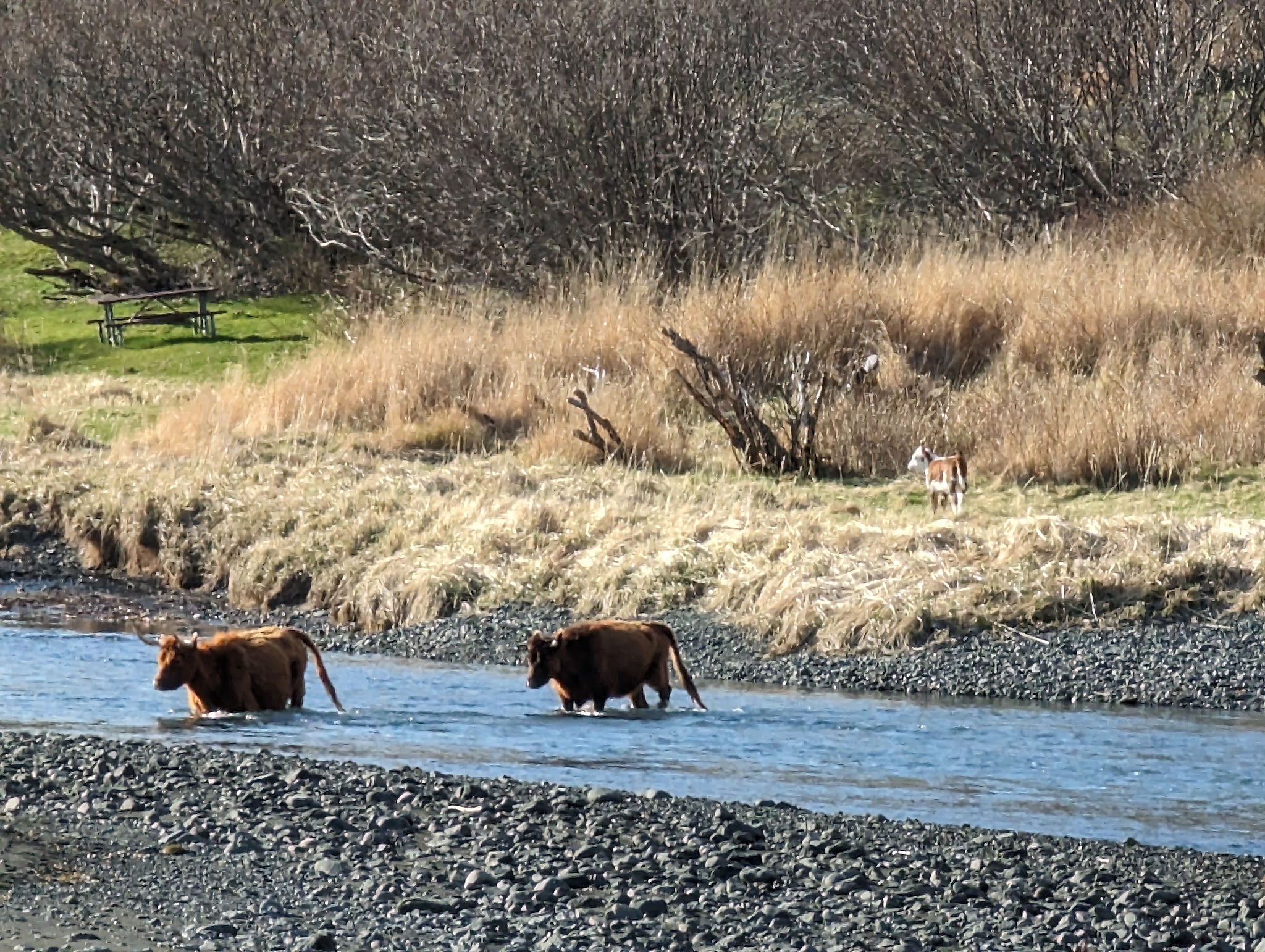 Pasagshak River State Recreation Site