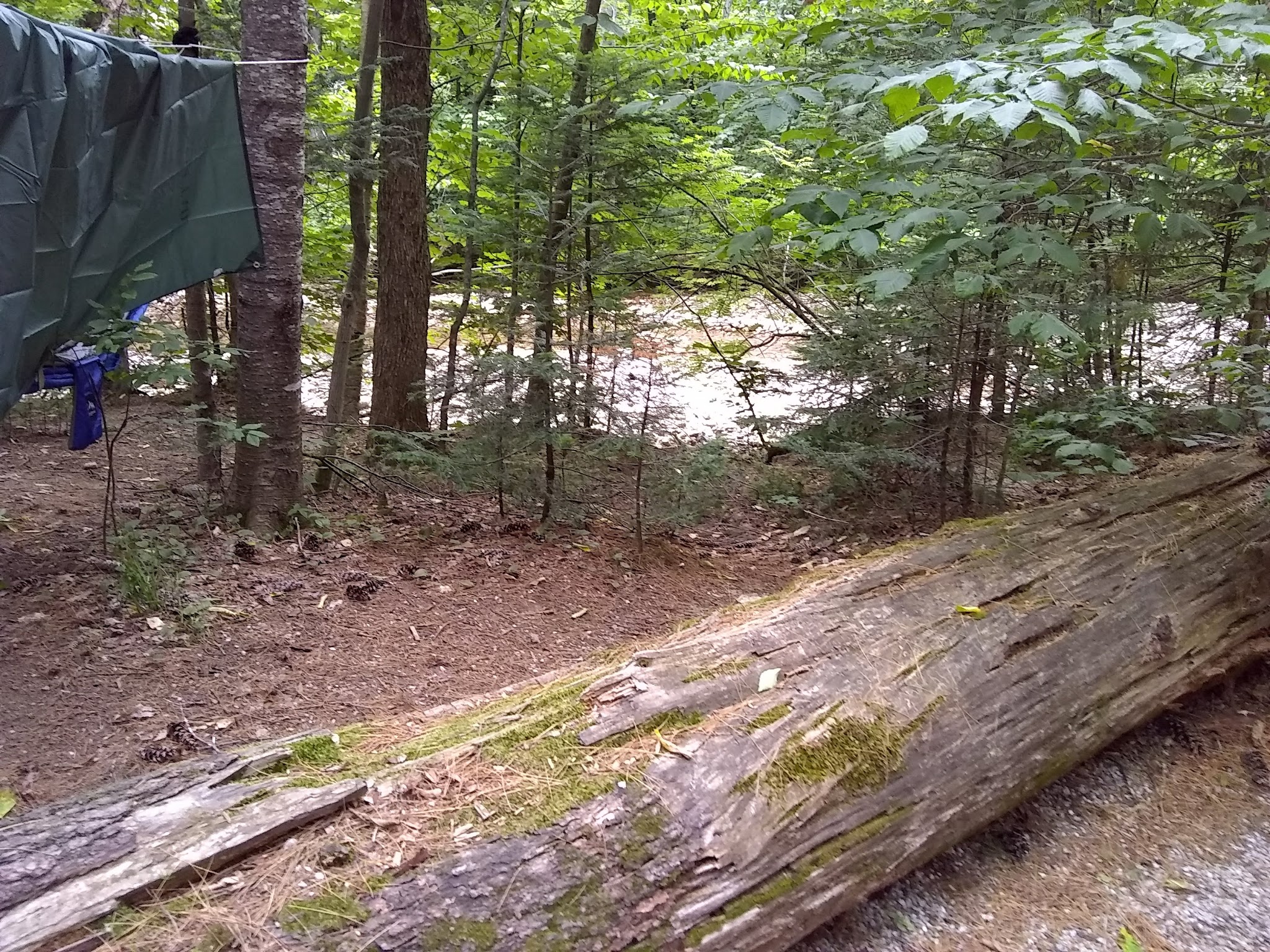 Passaconaway Campground