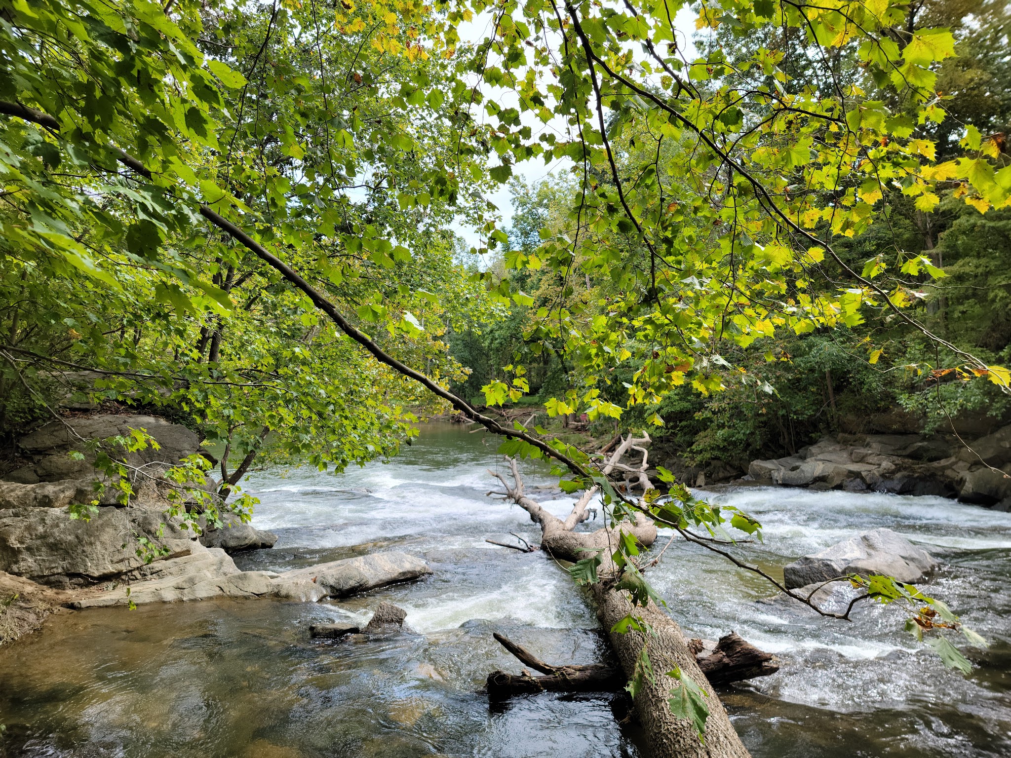 Patapsco Valley State Park