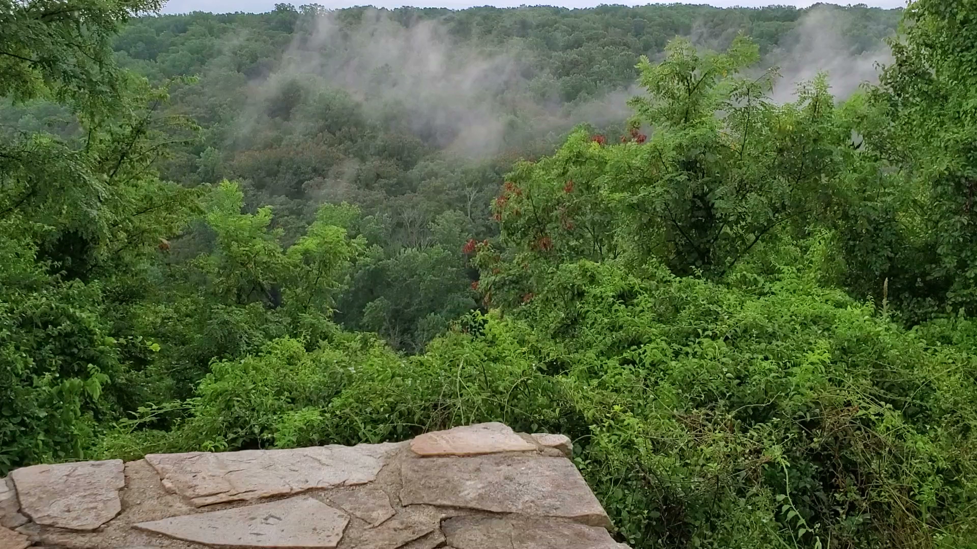 Patapsco Valley State Park