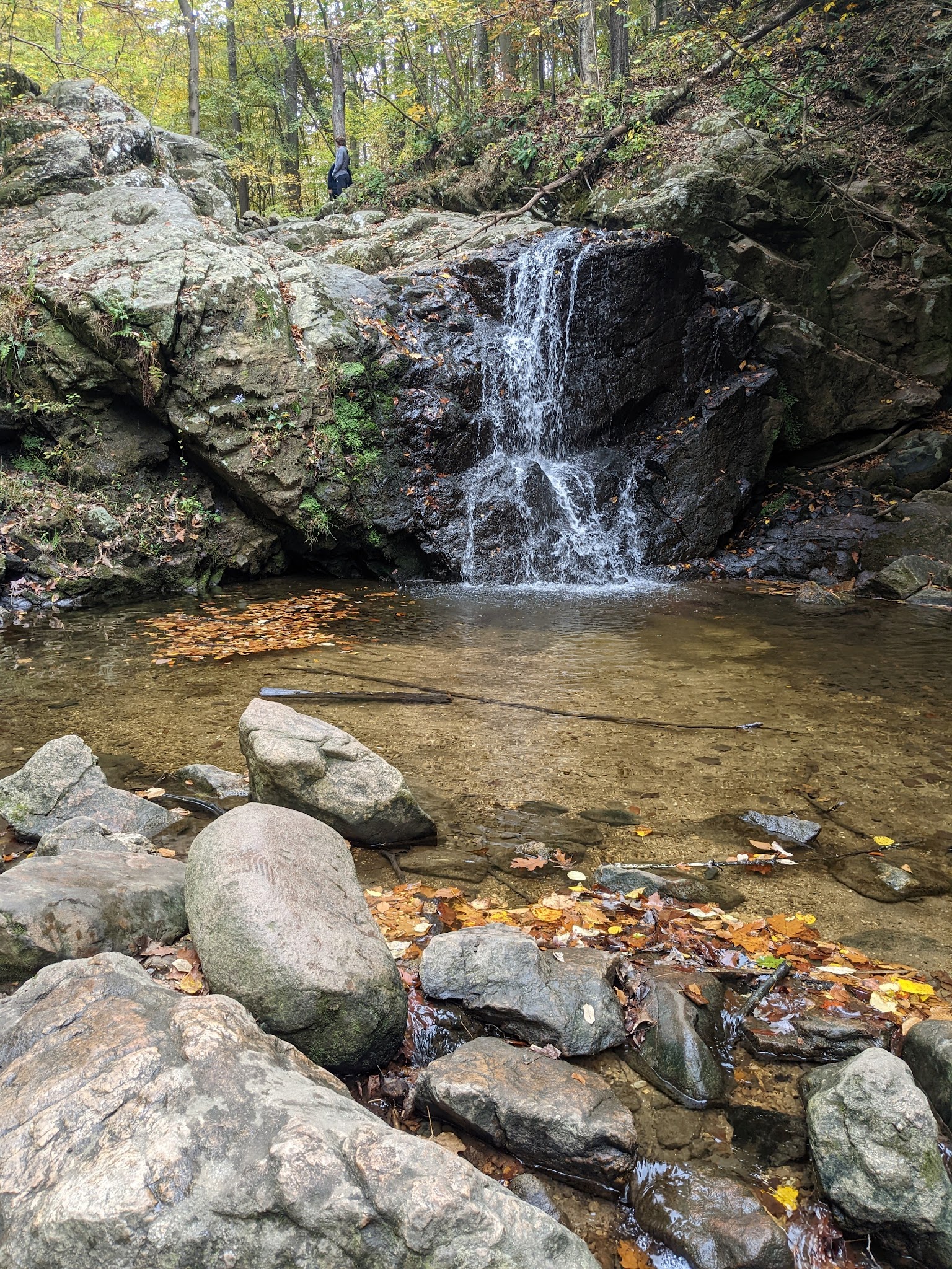 Patapsco Valley State Park