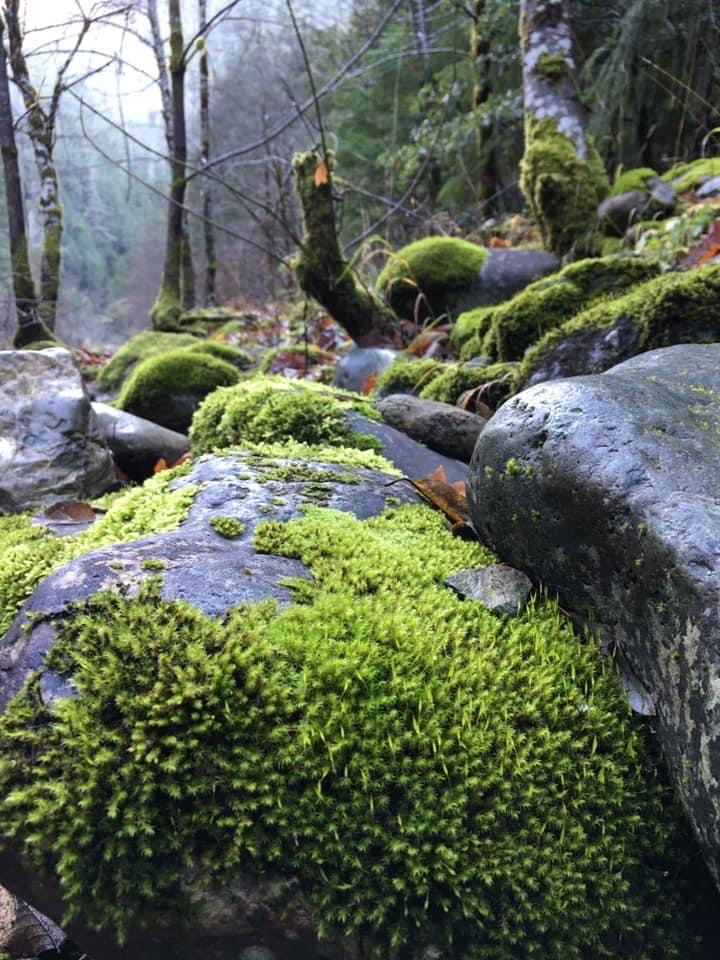 Patrick Creek Campground