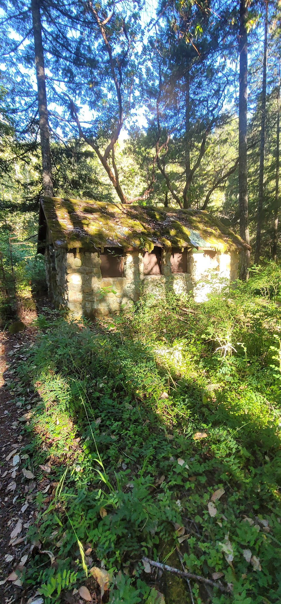 Patrick Creek Campground