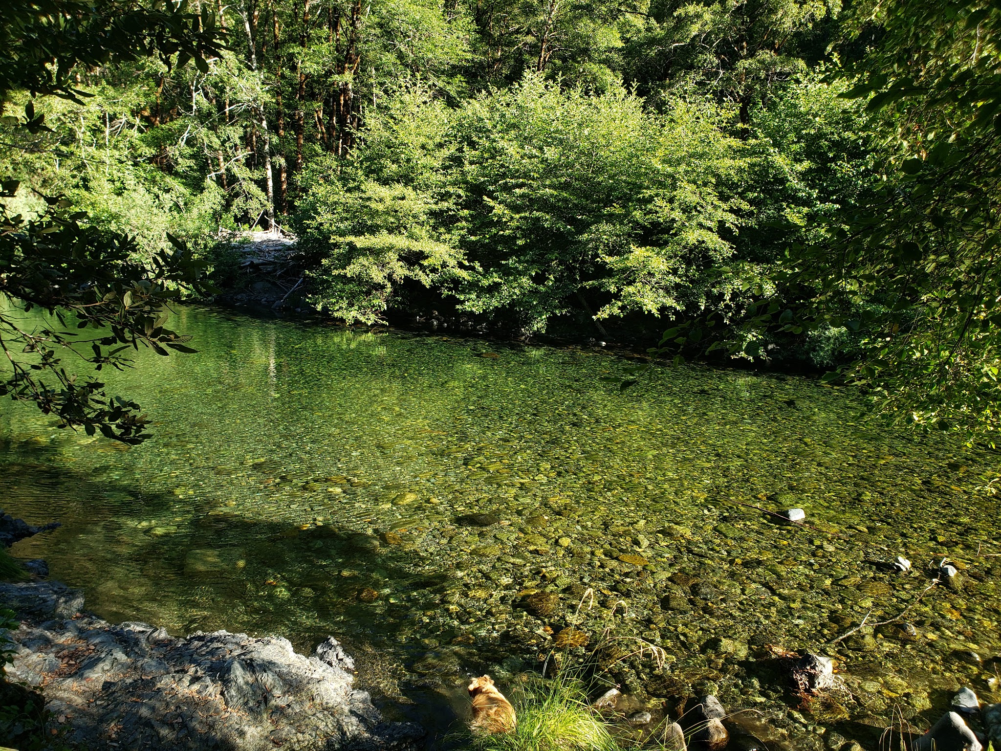 Patrick Creek Campground