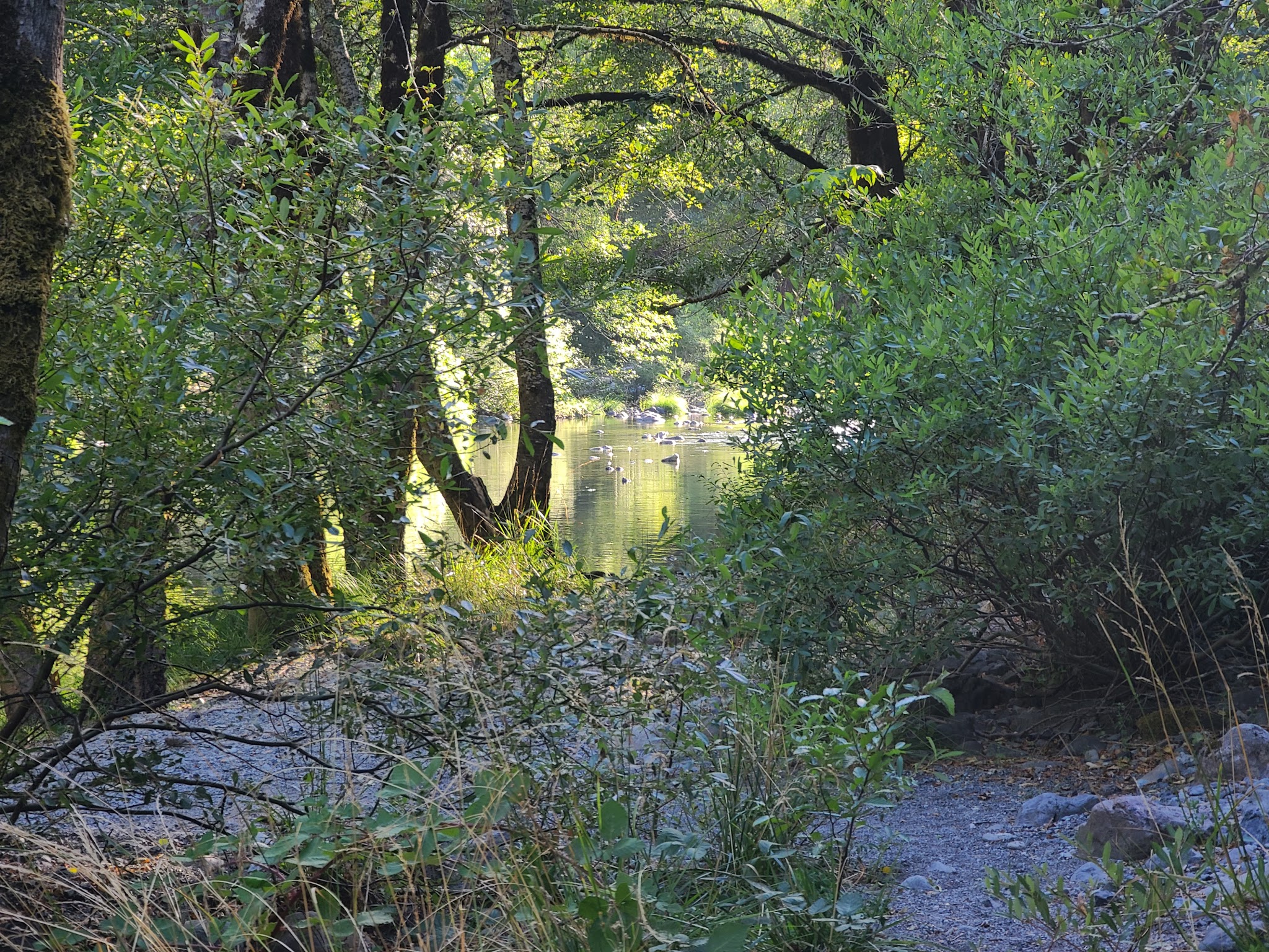 Patrick Creek Campground