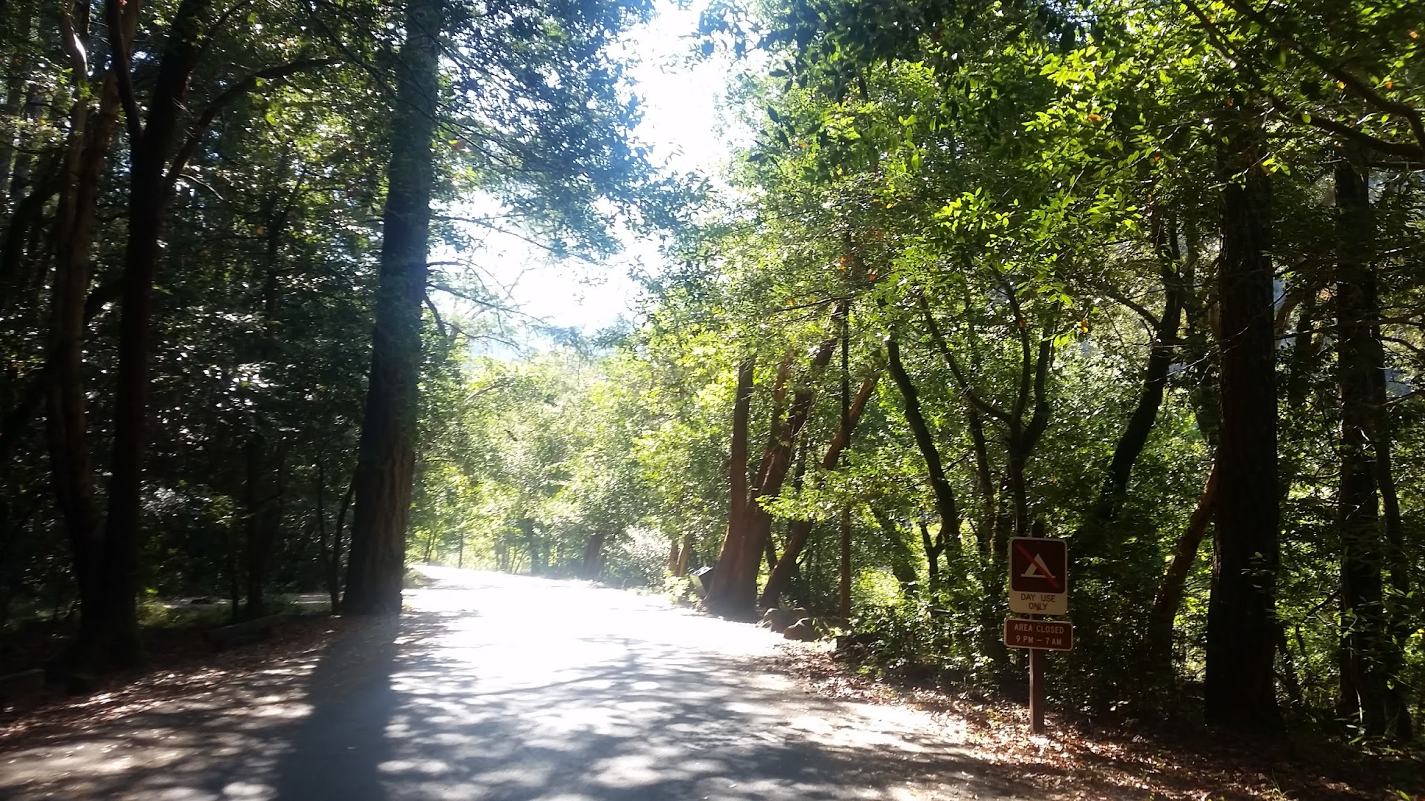 Patrick Creek Campground