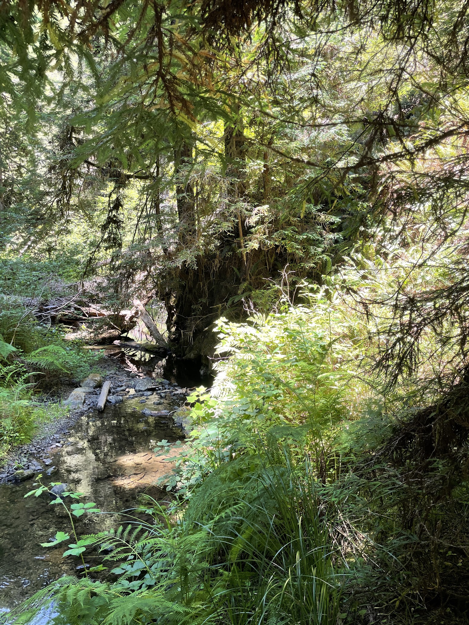 Paul M. Dimmick Campground