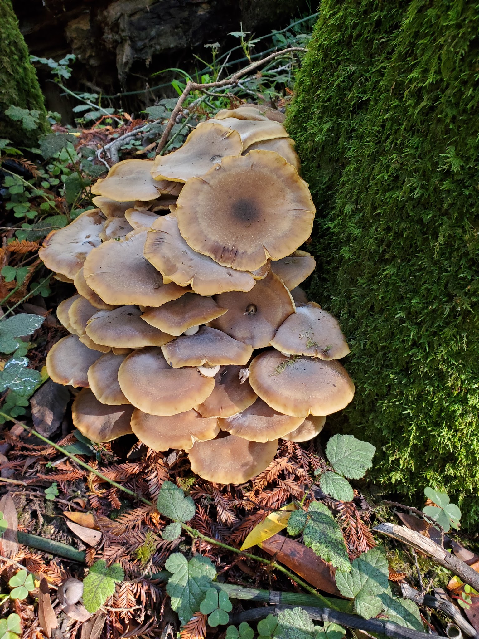 Paul M. Dimmick Campground