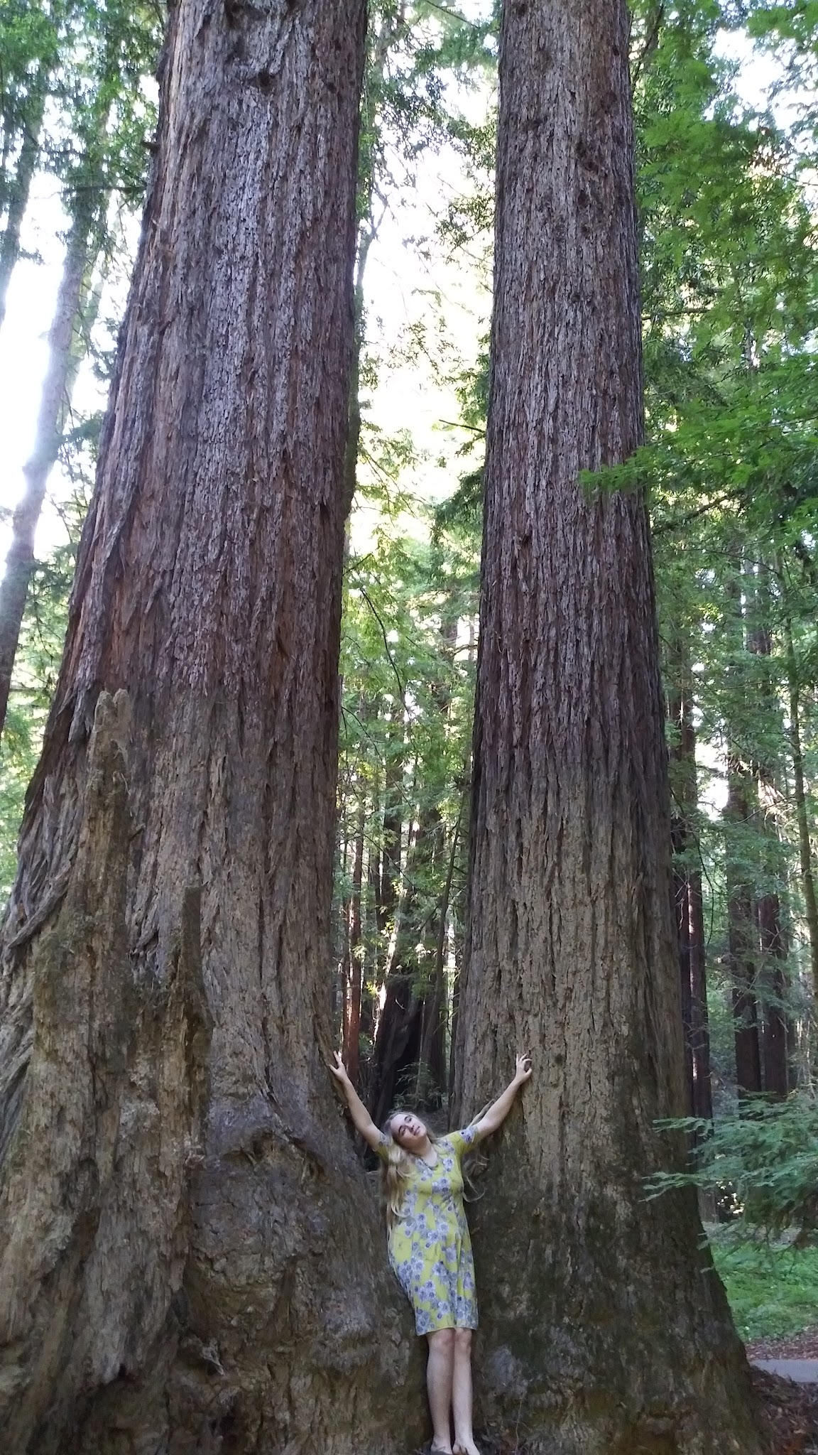 Paul M. Dimmick Campground