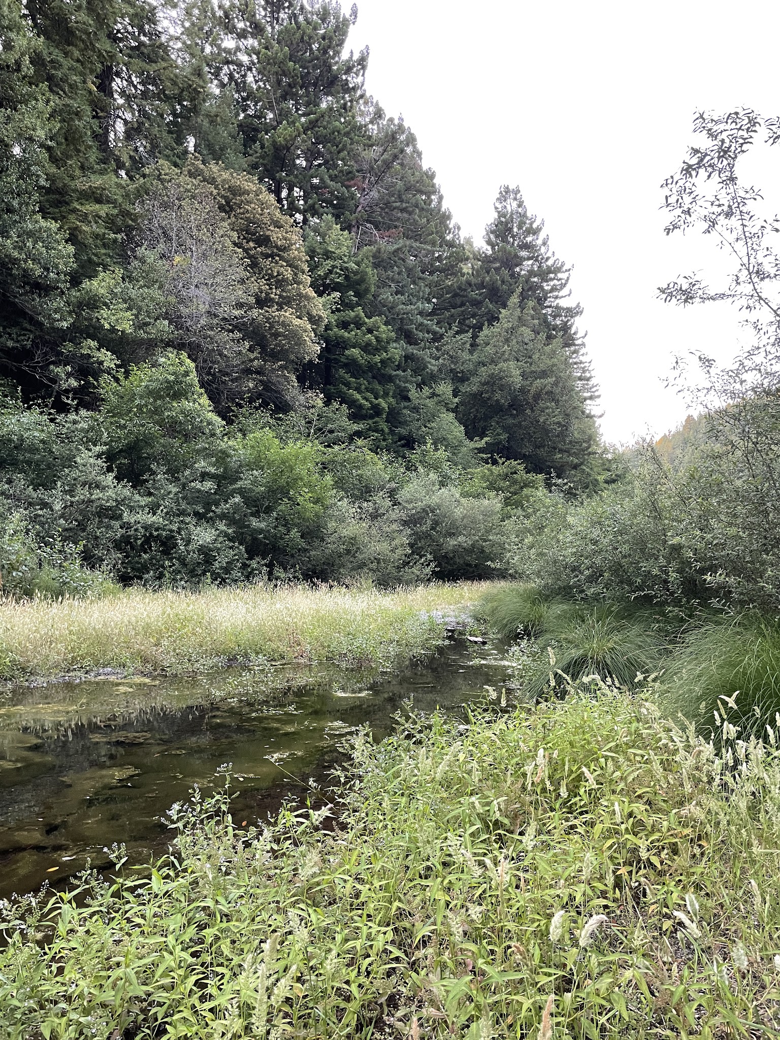 Paul M. Dimmick Campground