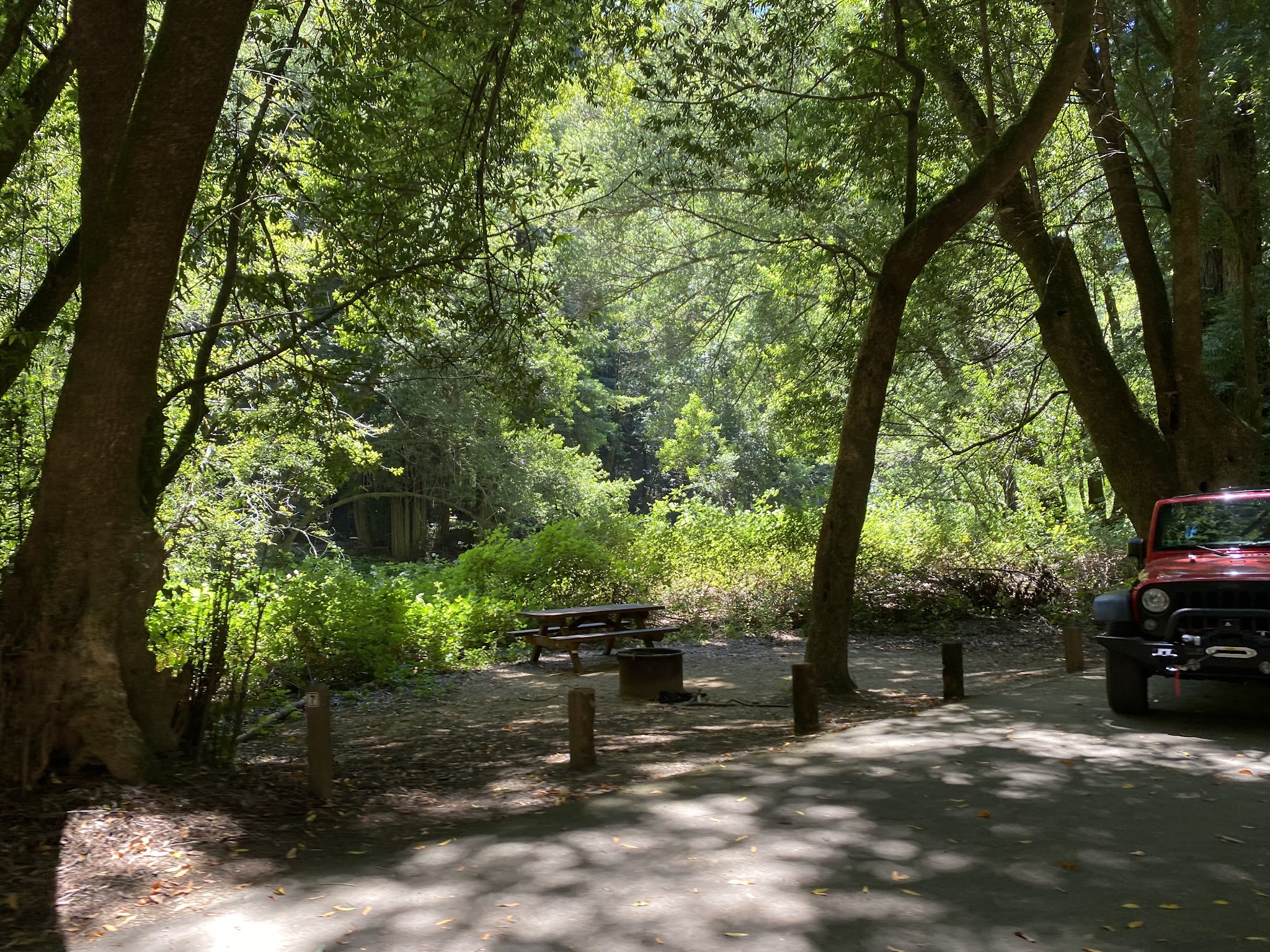 Paul M. Dimmick Campground