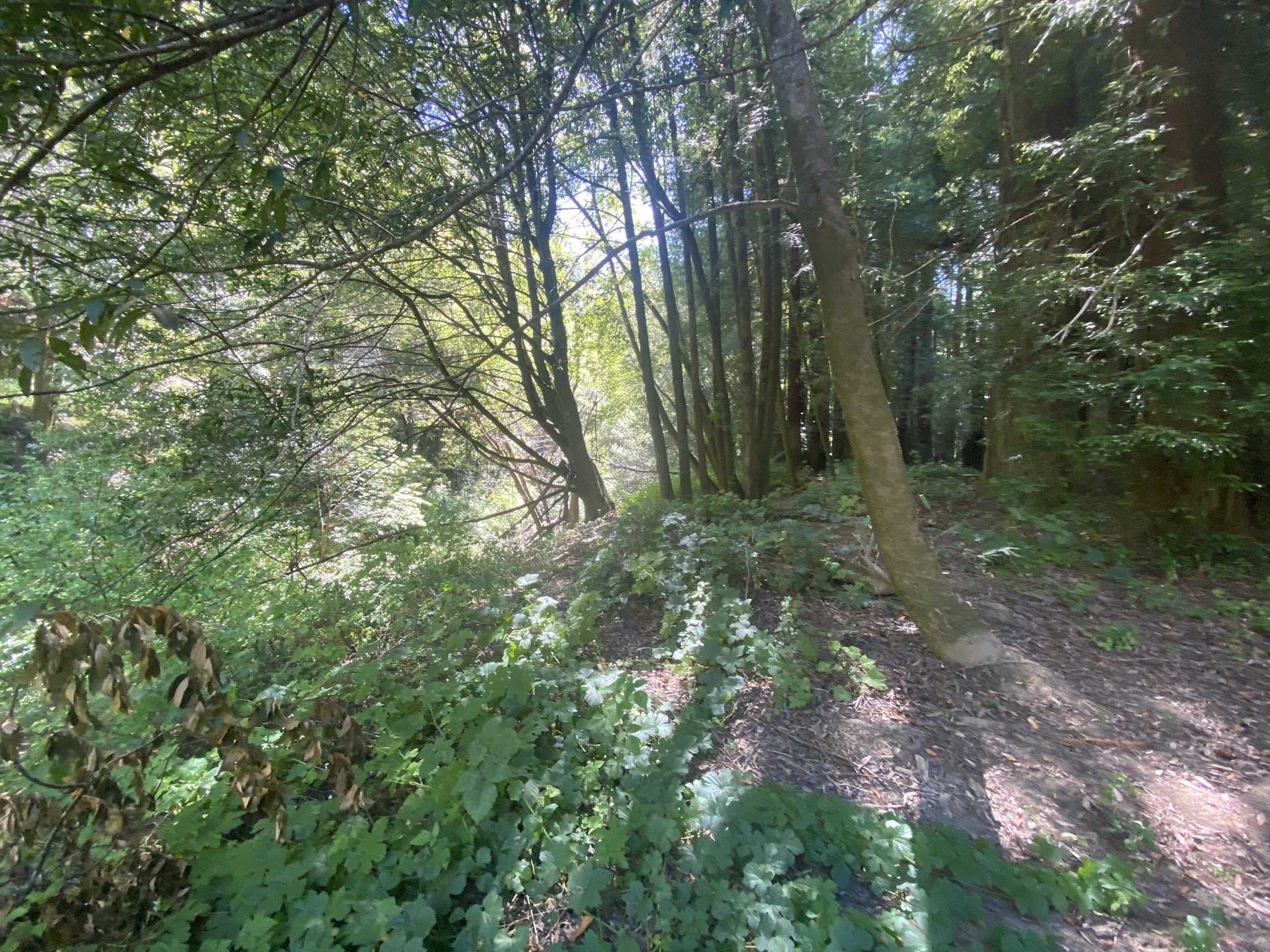 Paul M. Dimmick Campground