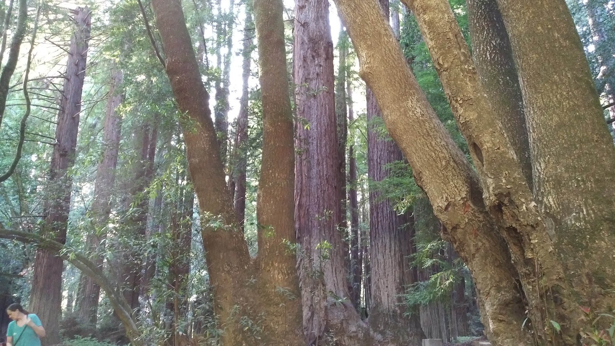 Paul M. Dimmick Campground