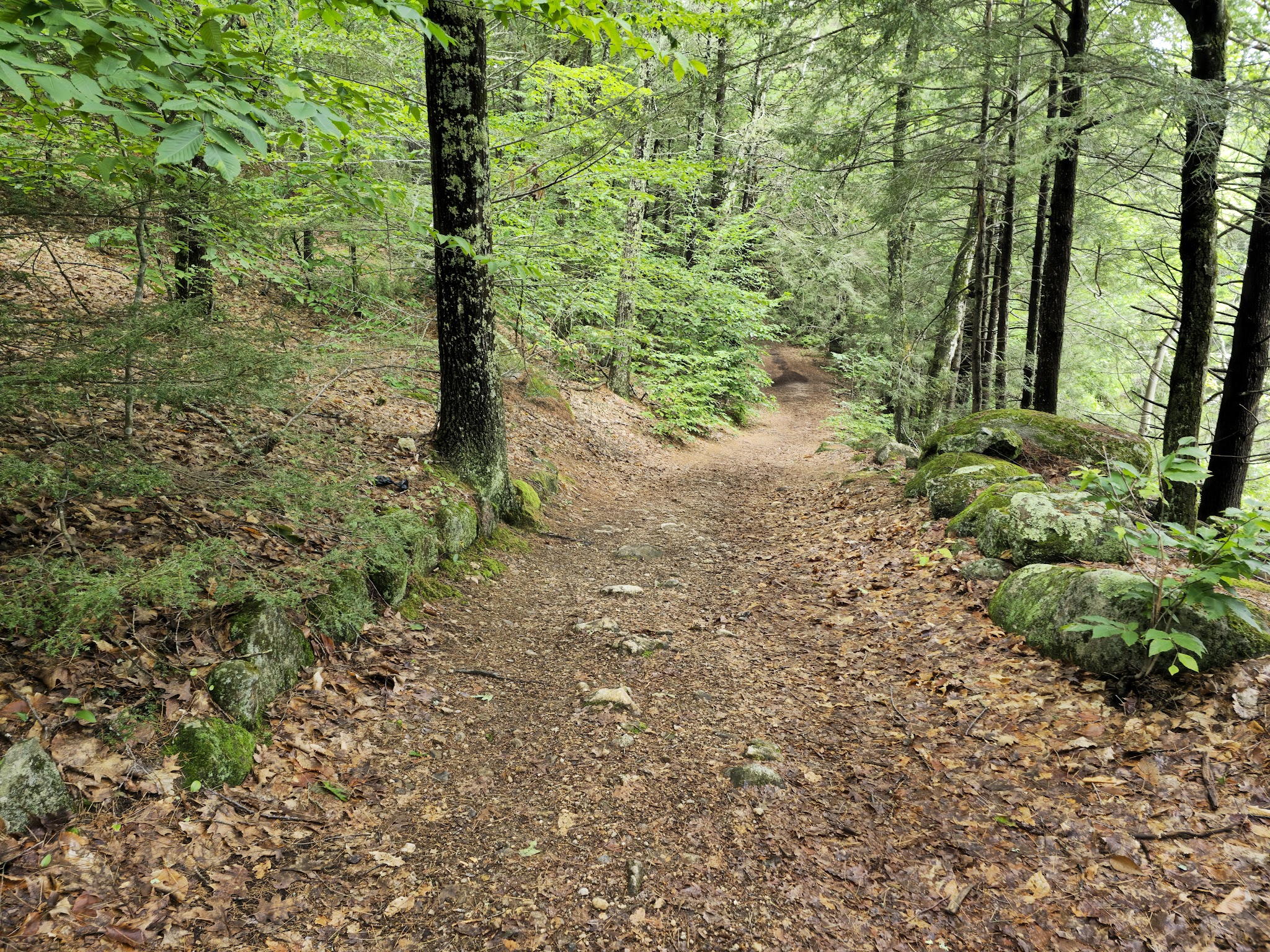 Pawtuckaway State Park