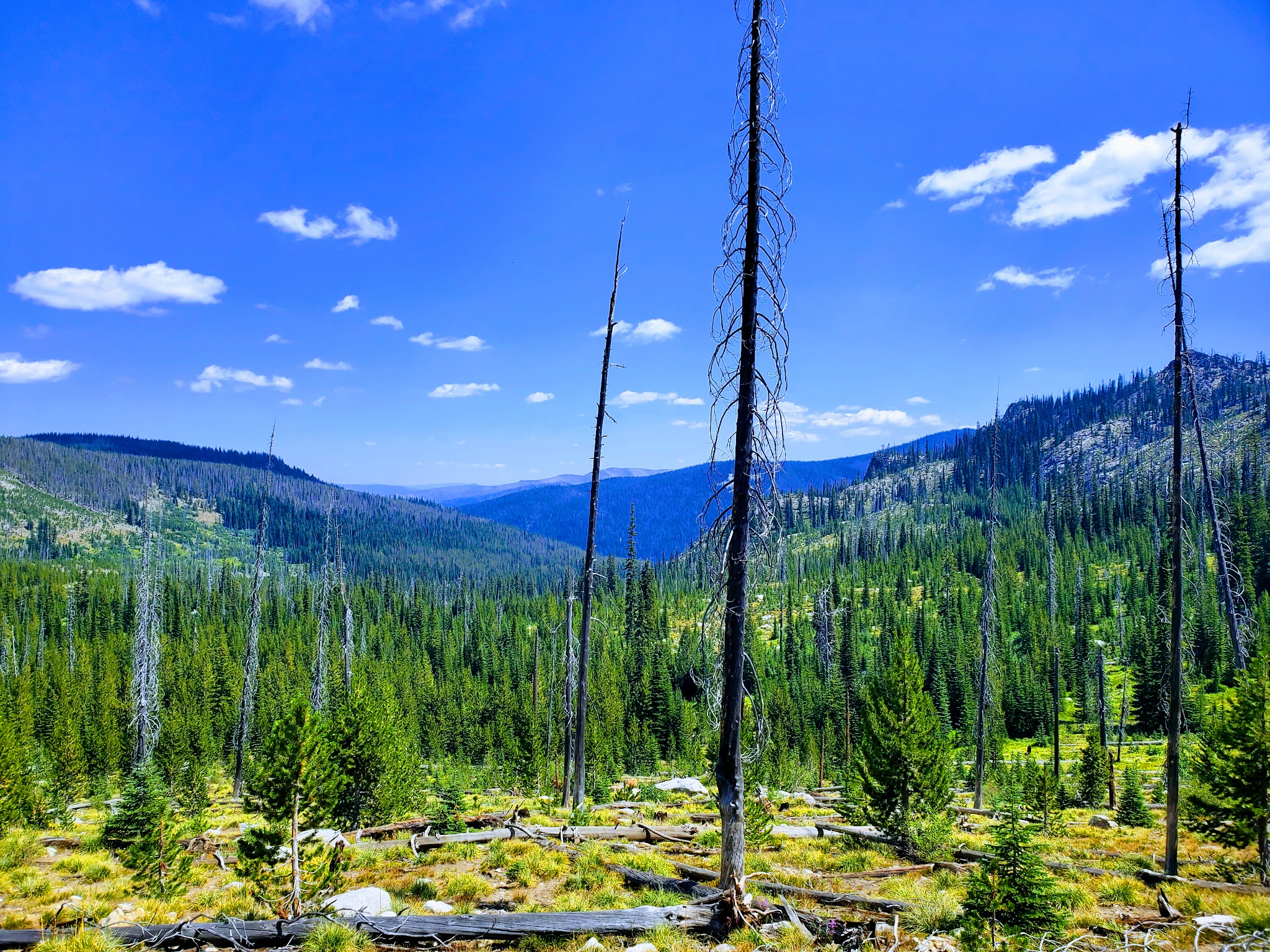 Indian Point Camping Area