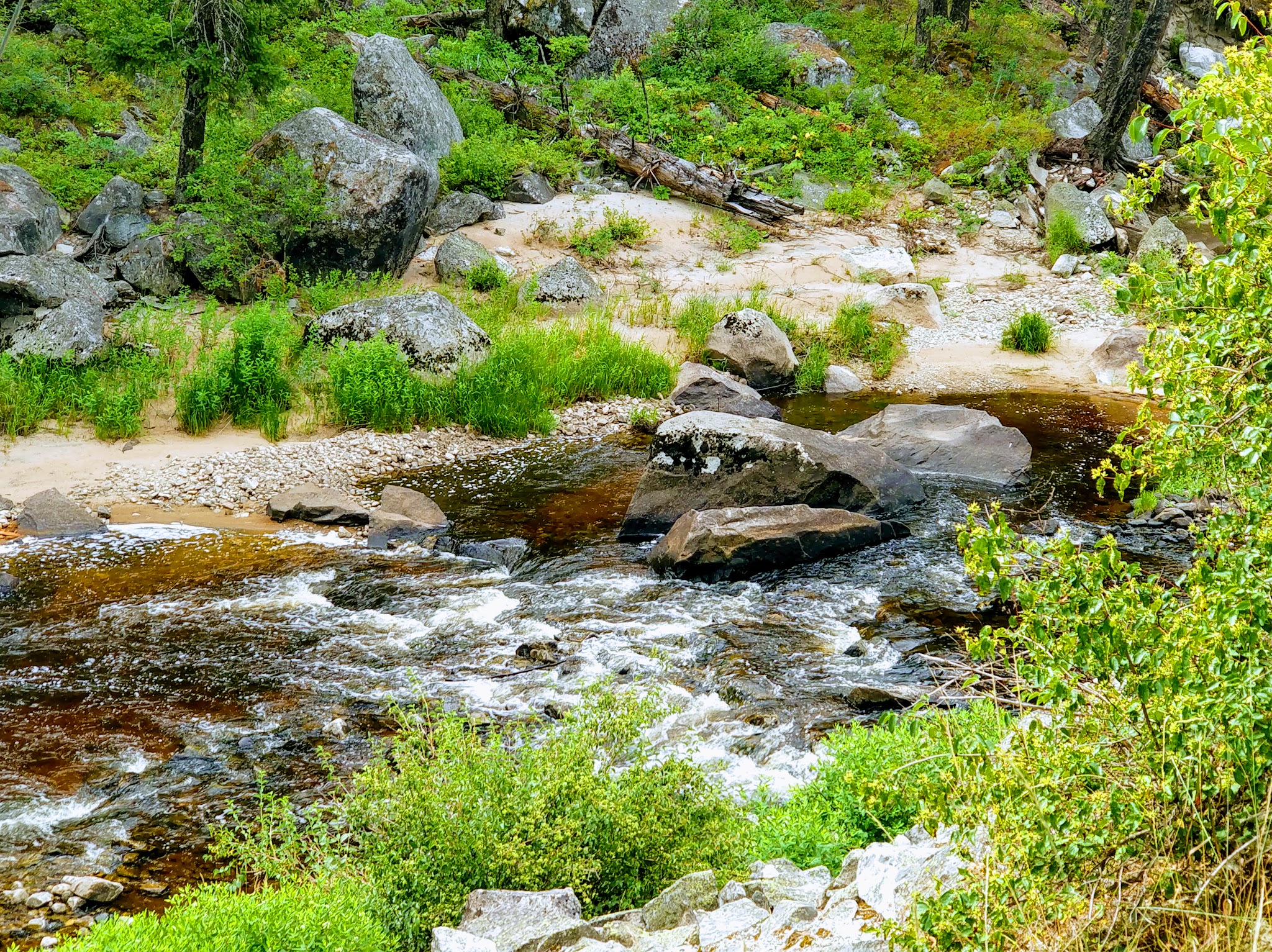 Indian Point Camping Area