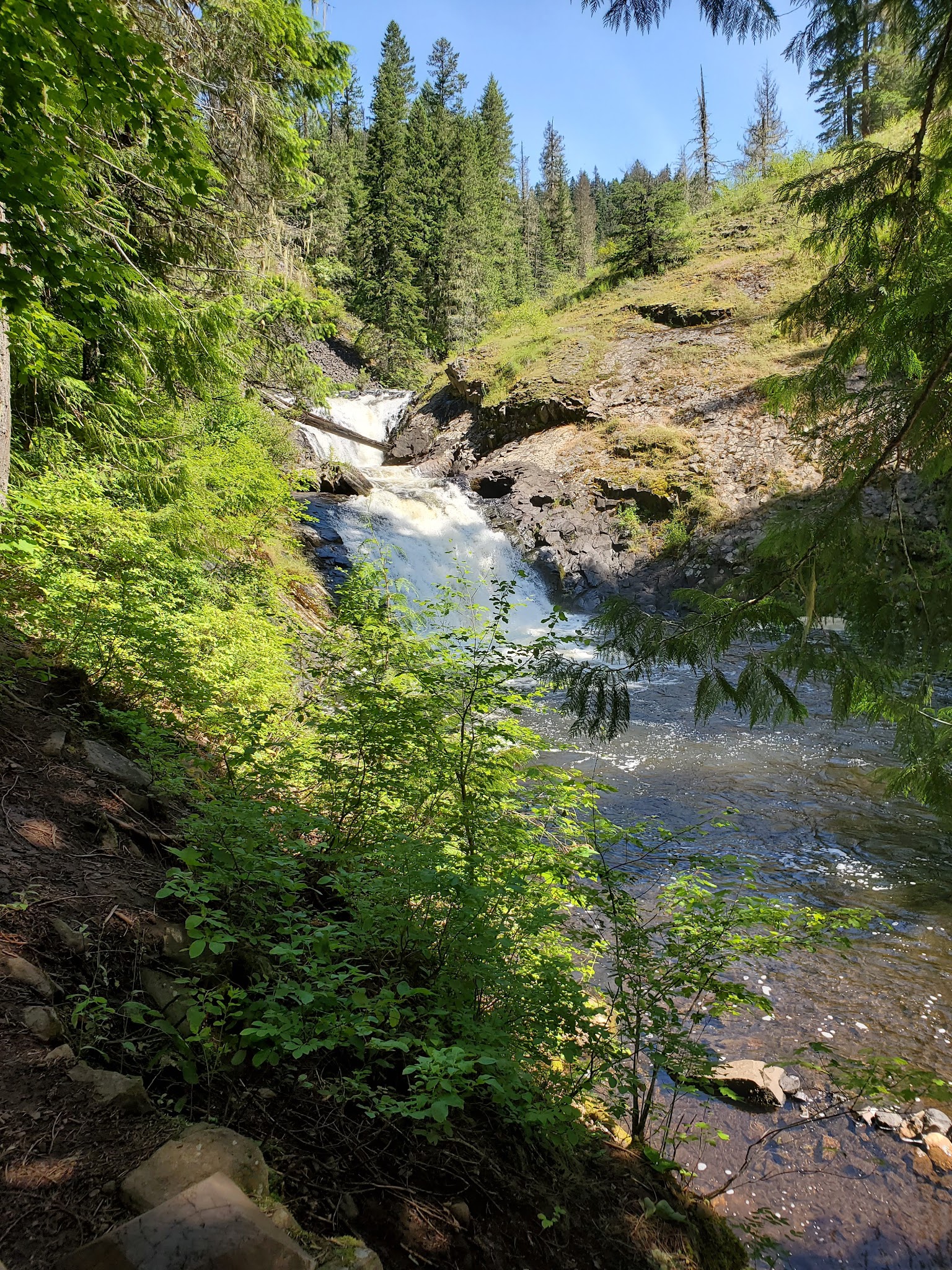 Indian Point Camping Area