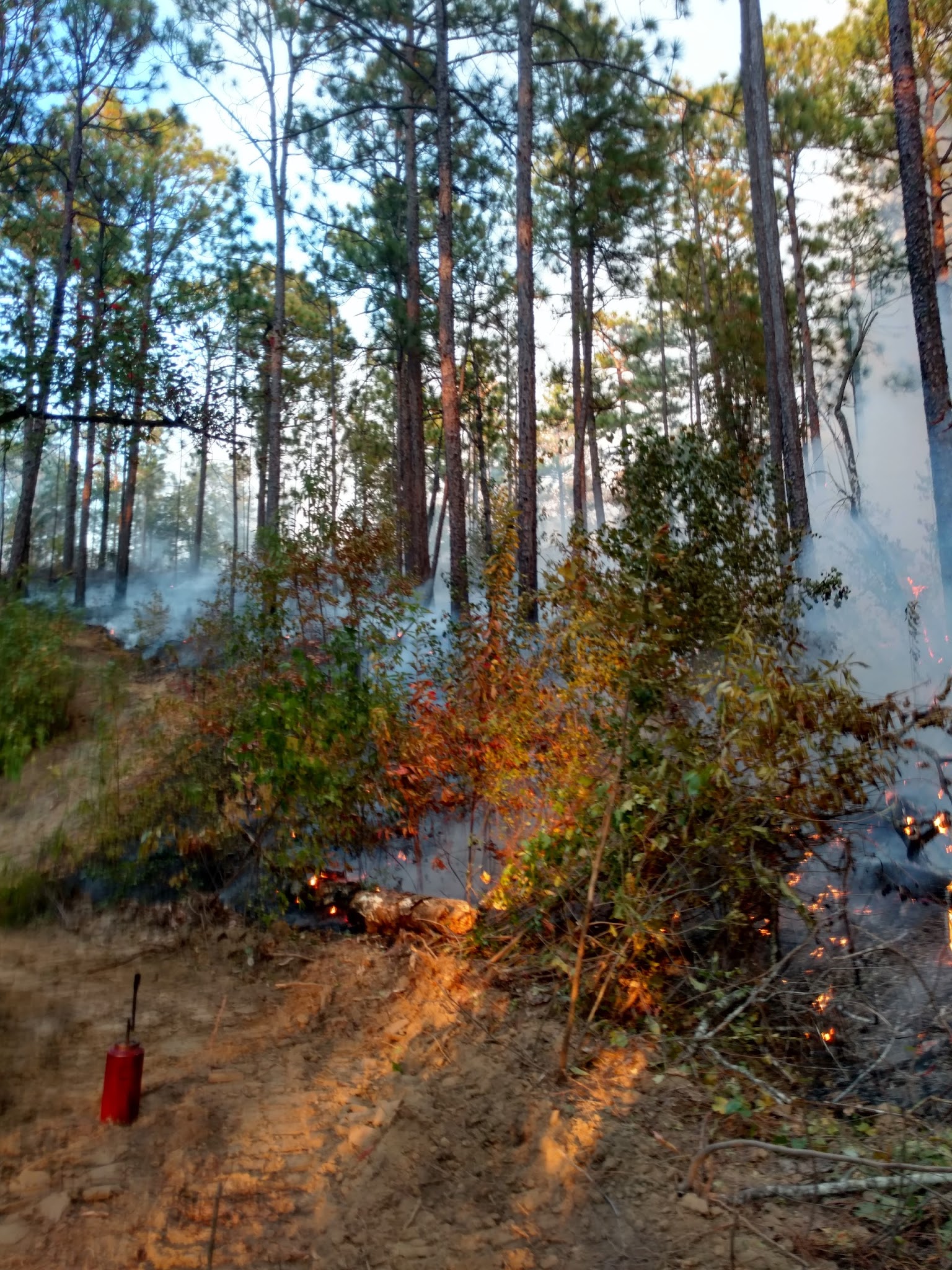 Payne Lake Recreation Area