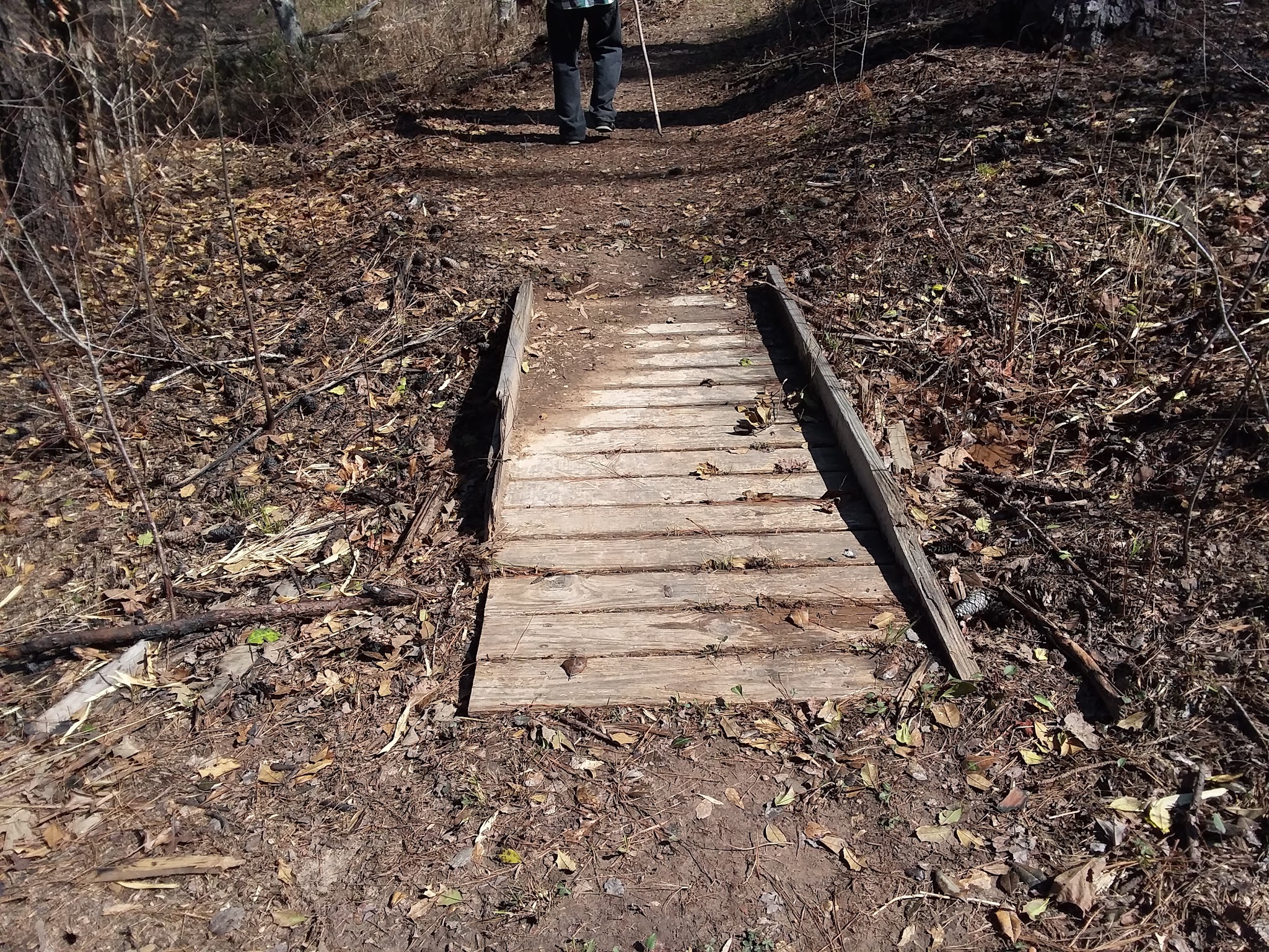 Payne Lake Recreation Area