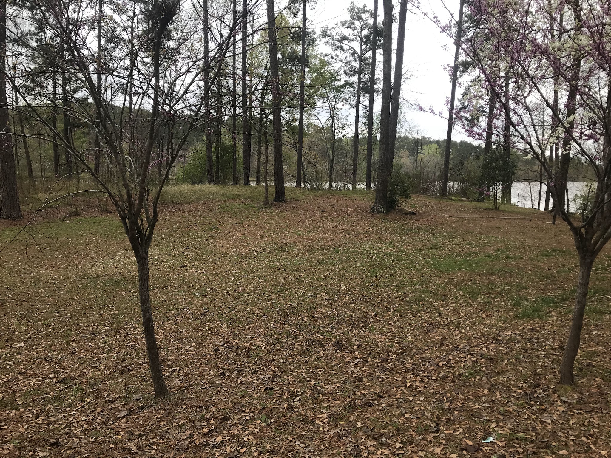 Payne Lake Recreation Area