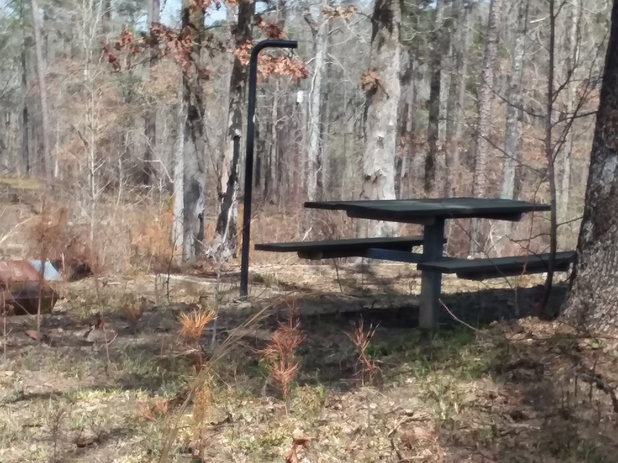 Payne Lake Recreation Area