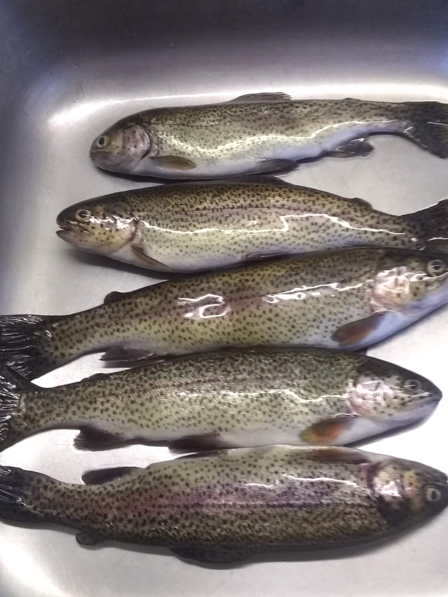 Payne Springs Campground