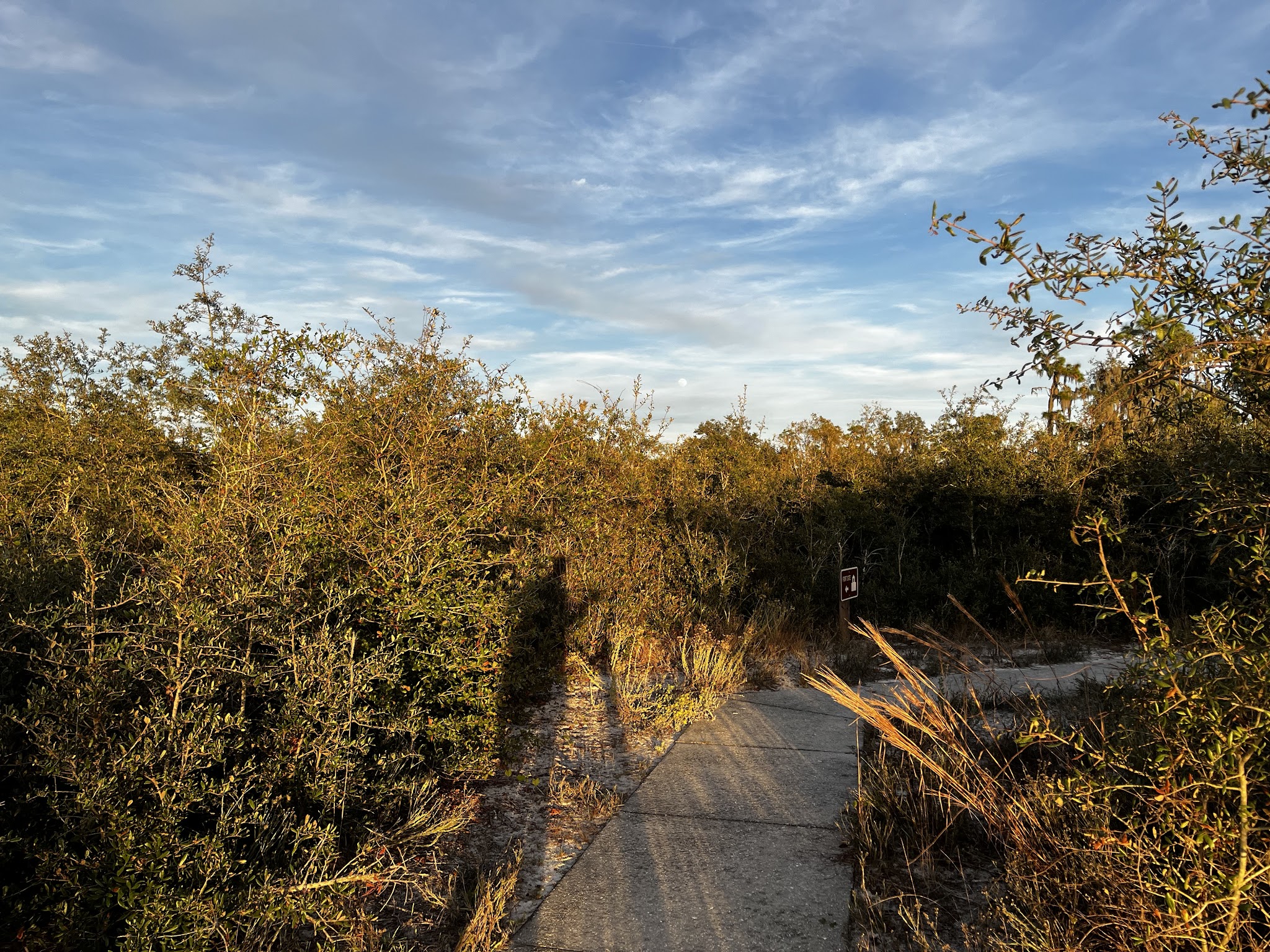 Paynes Creek Historic State Park Campground