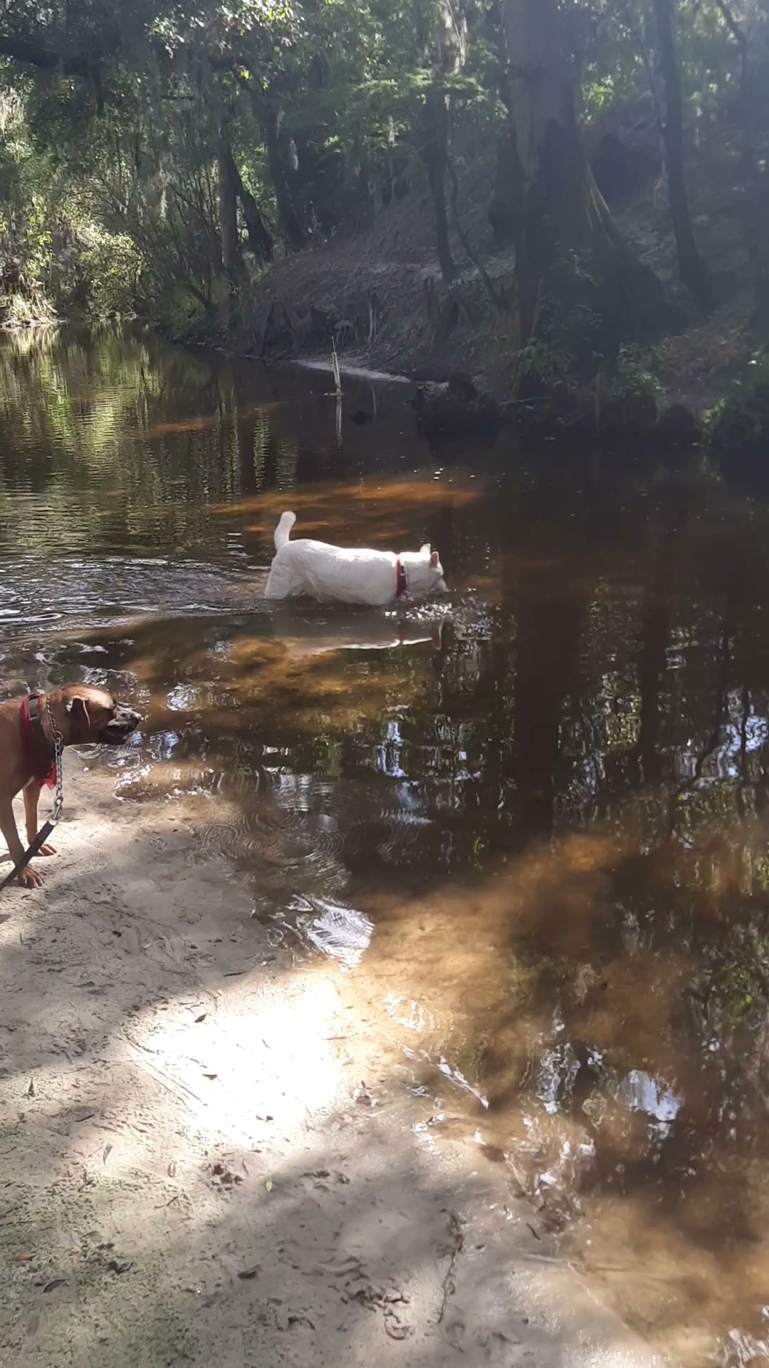 Paynes Creek Historic State Park Campground