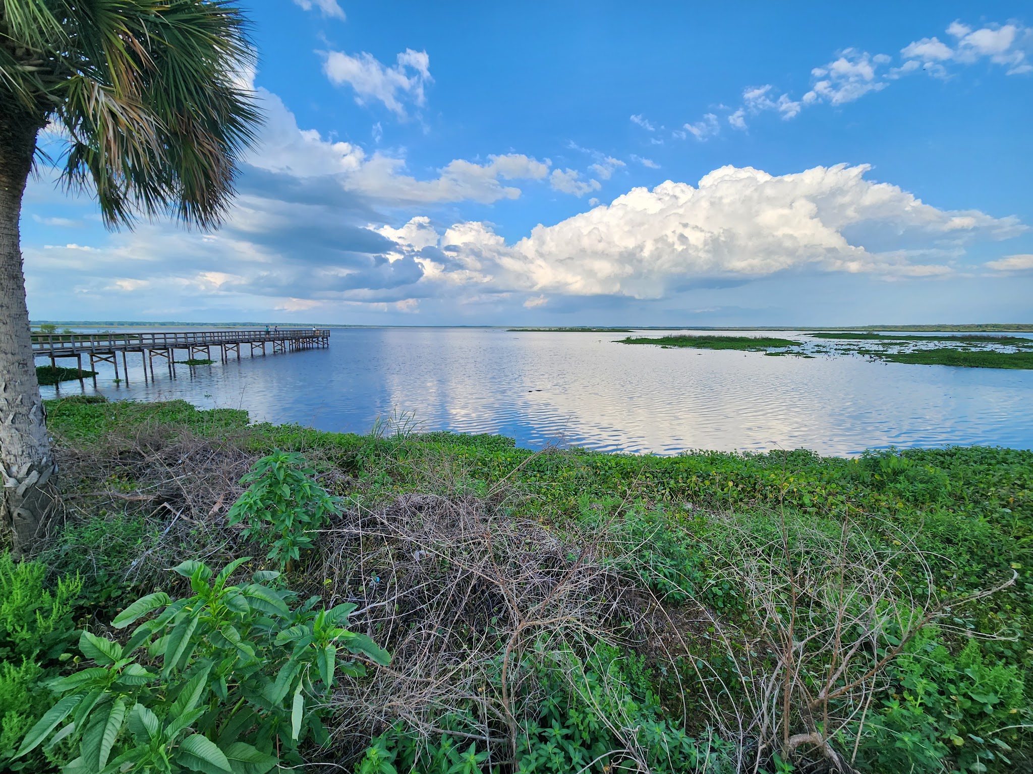 Paynes Prairie Preserve State Park Campground