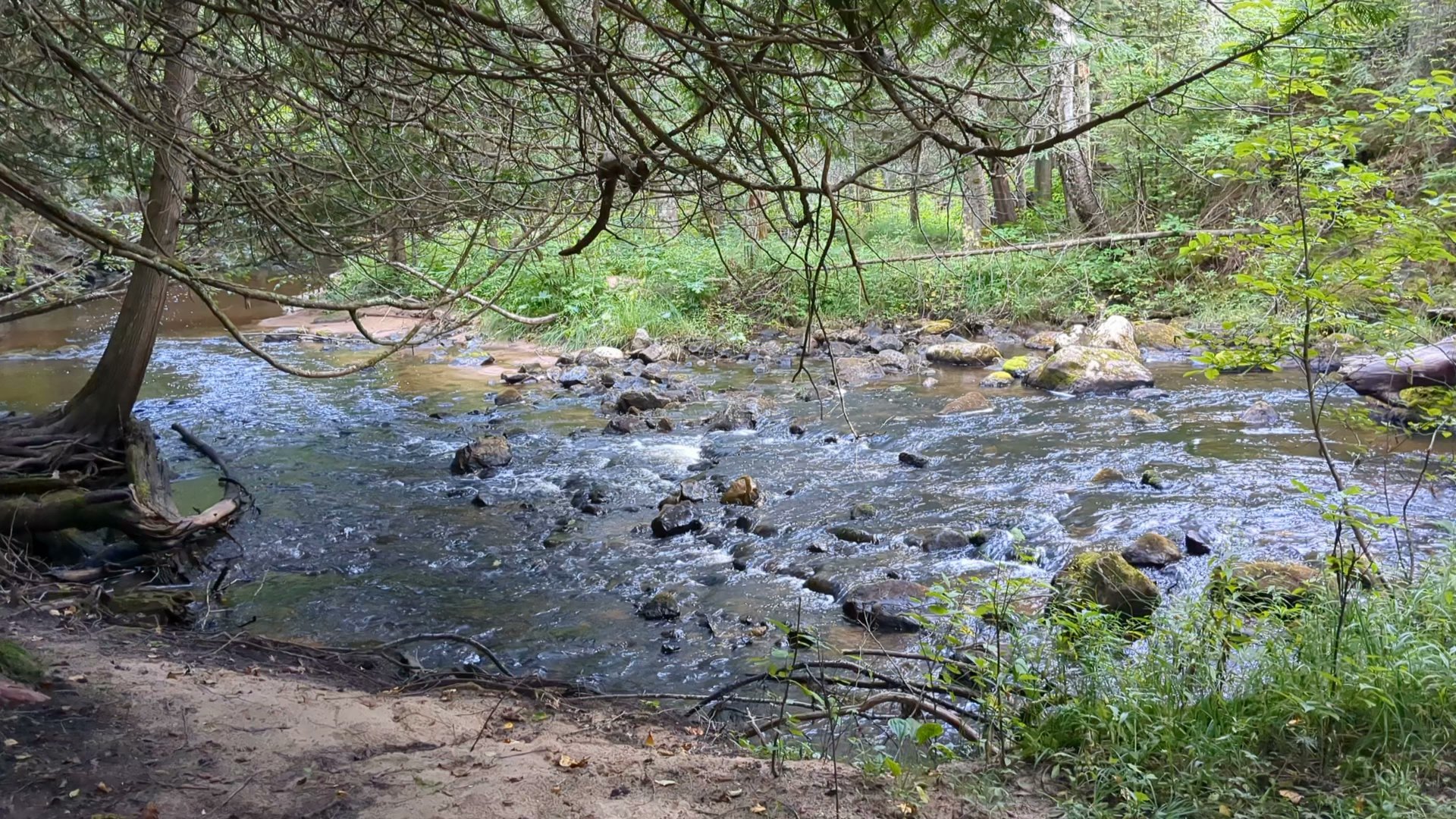 Black River State Forest