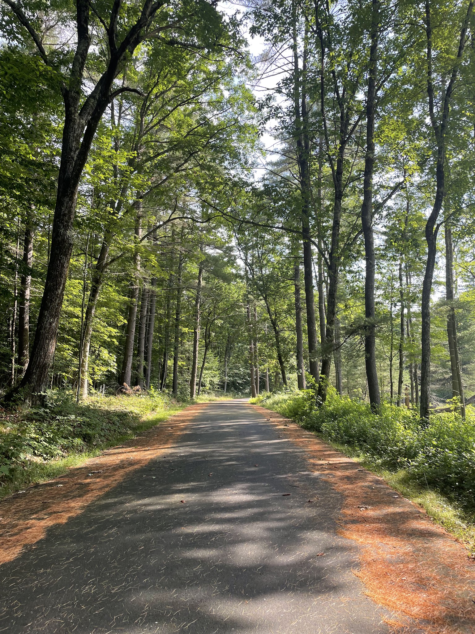 Pearl Hill State Park