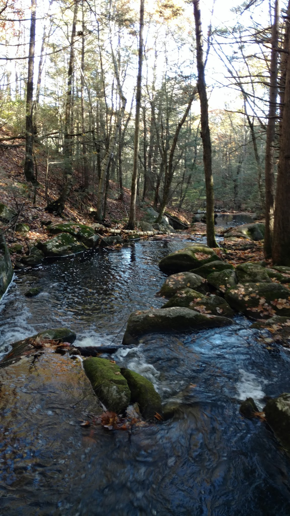 Pearl Hill State Park