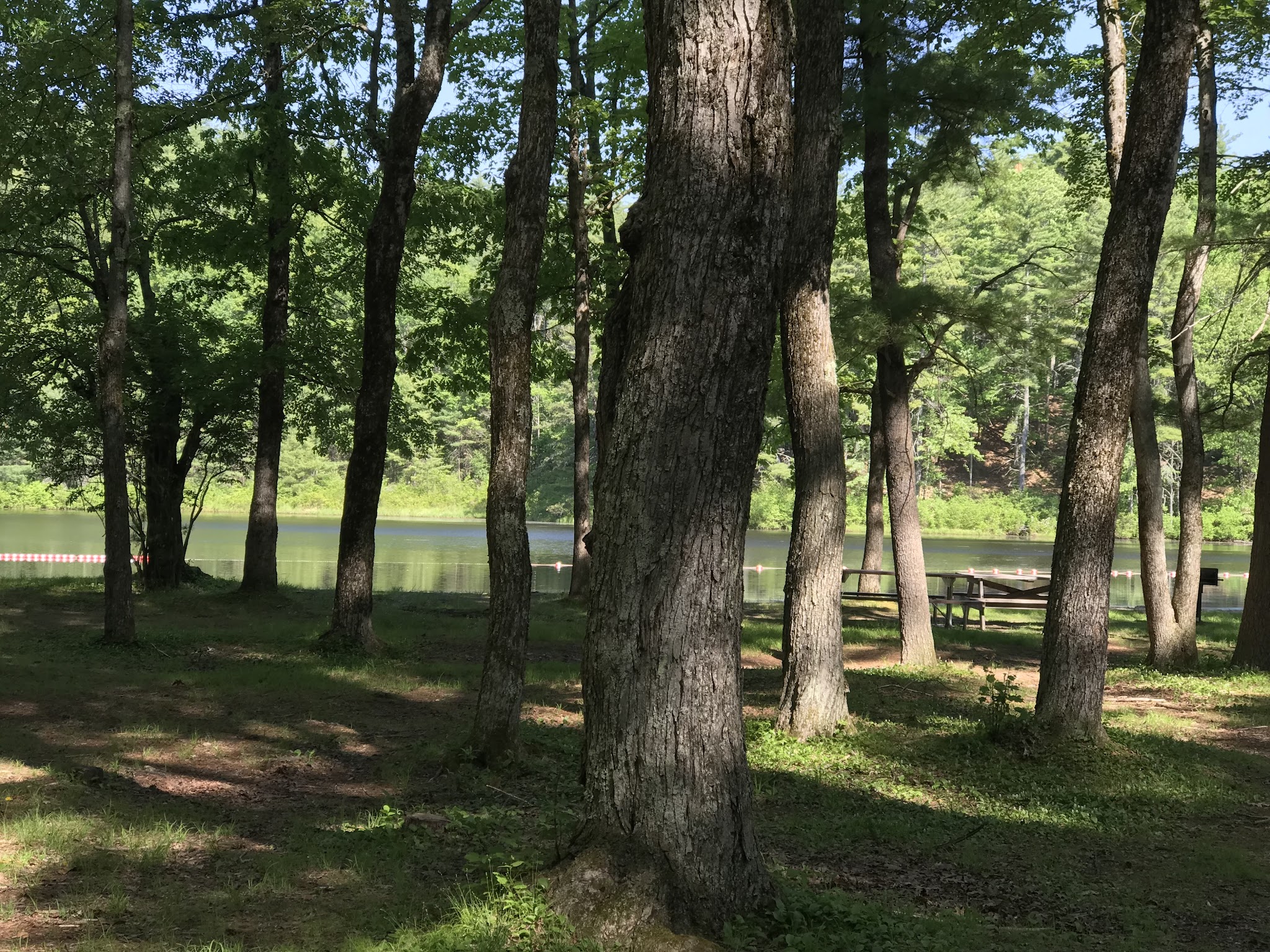 Pearl Hill State Park