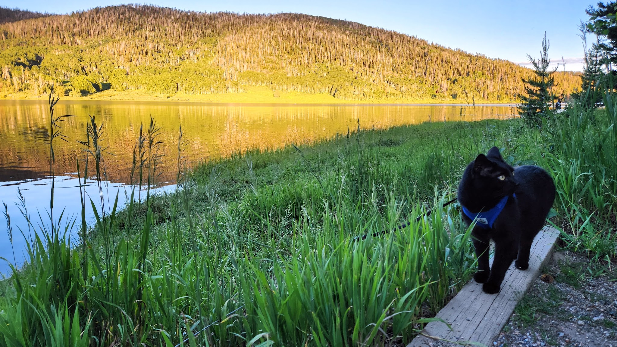 Pearl Lake State Park