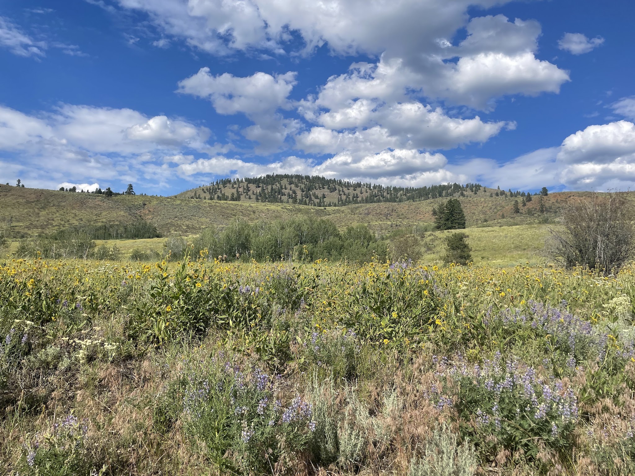 Pearrygin Lake State Park