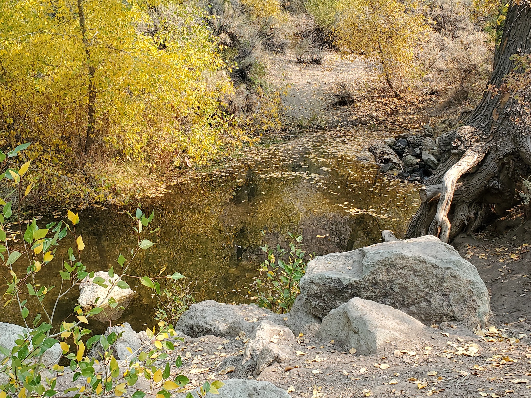 Peavine Creek Campground