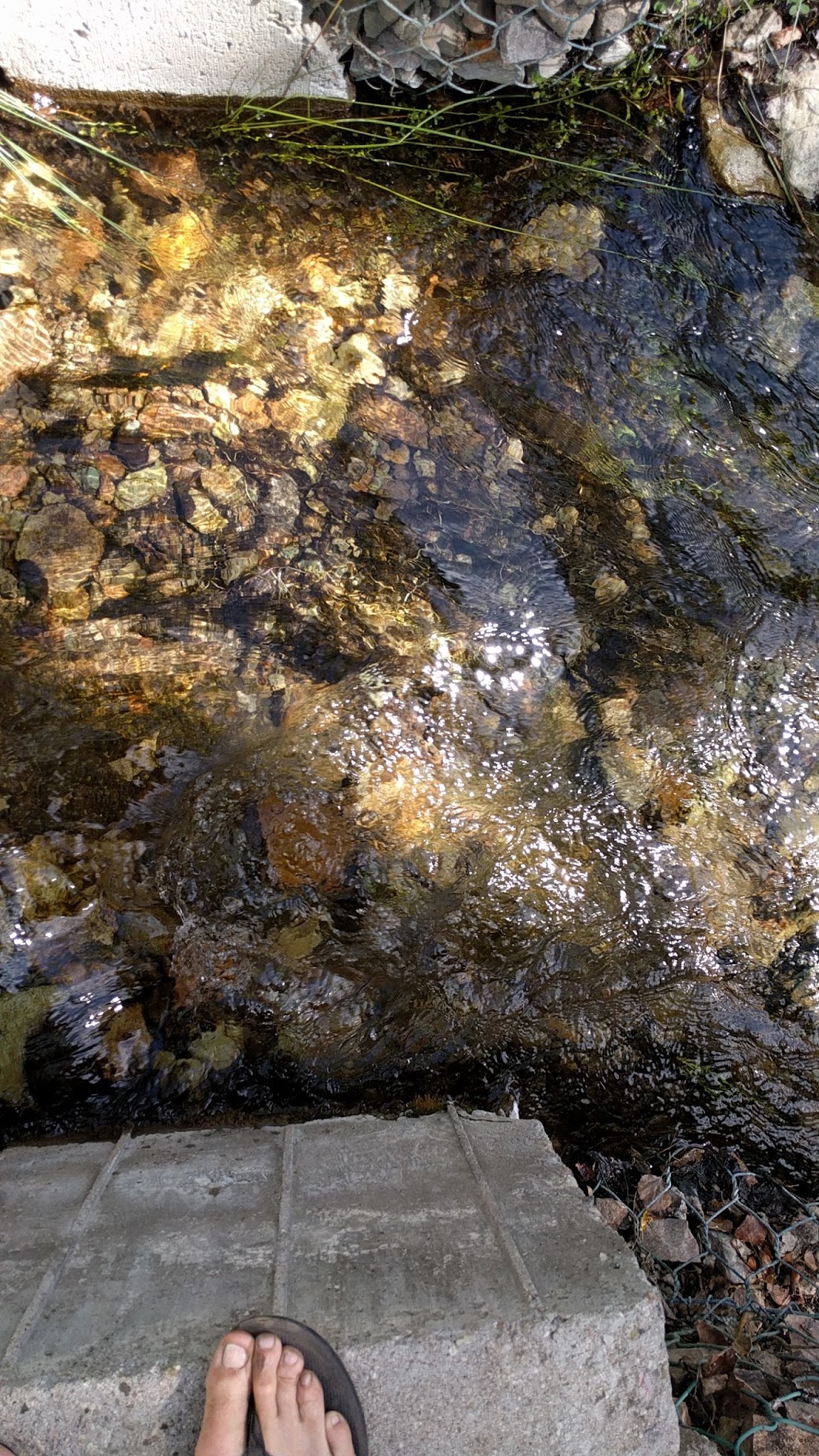 Peavine Creek Campground