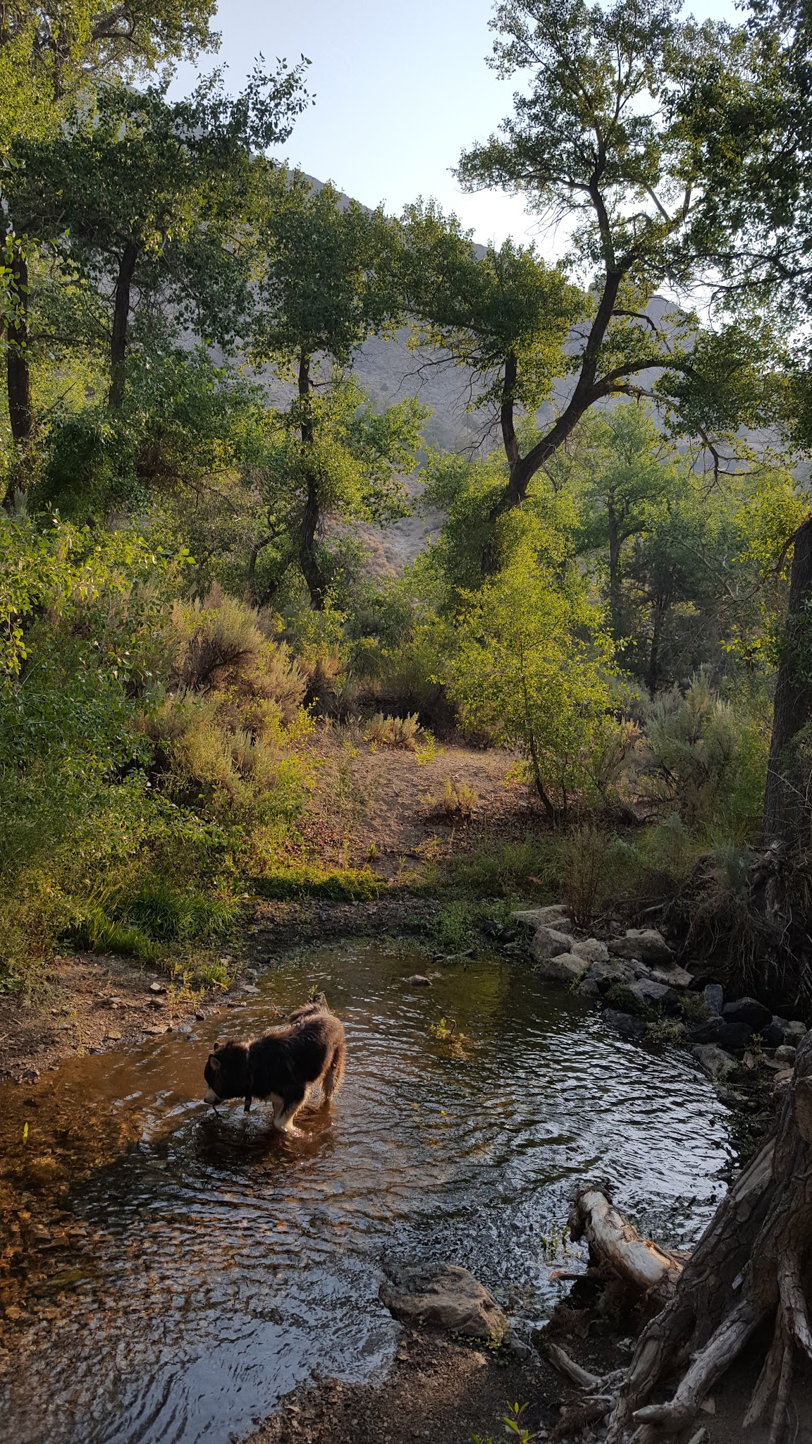 Peavine Creek Campground